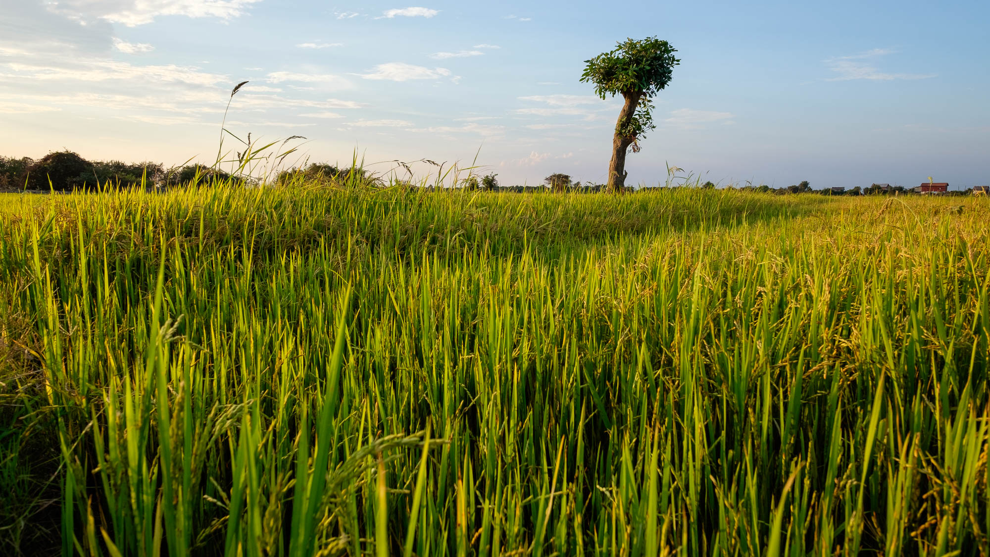 Kambodscha / Cambodia