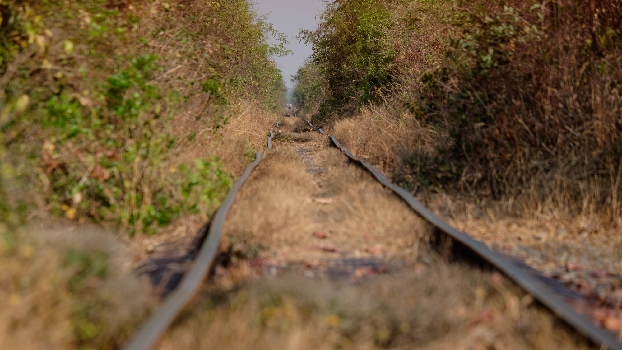Kambodscha / Cambodia