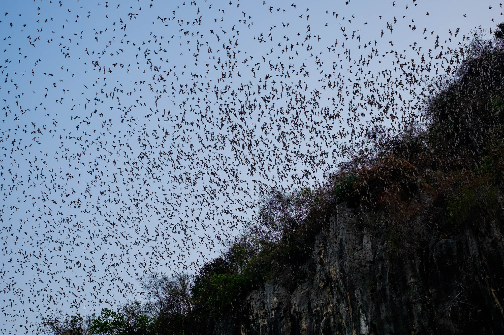 Kambodscha / Cambodia
