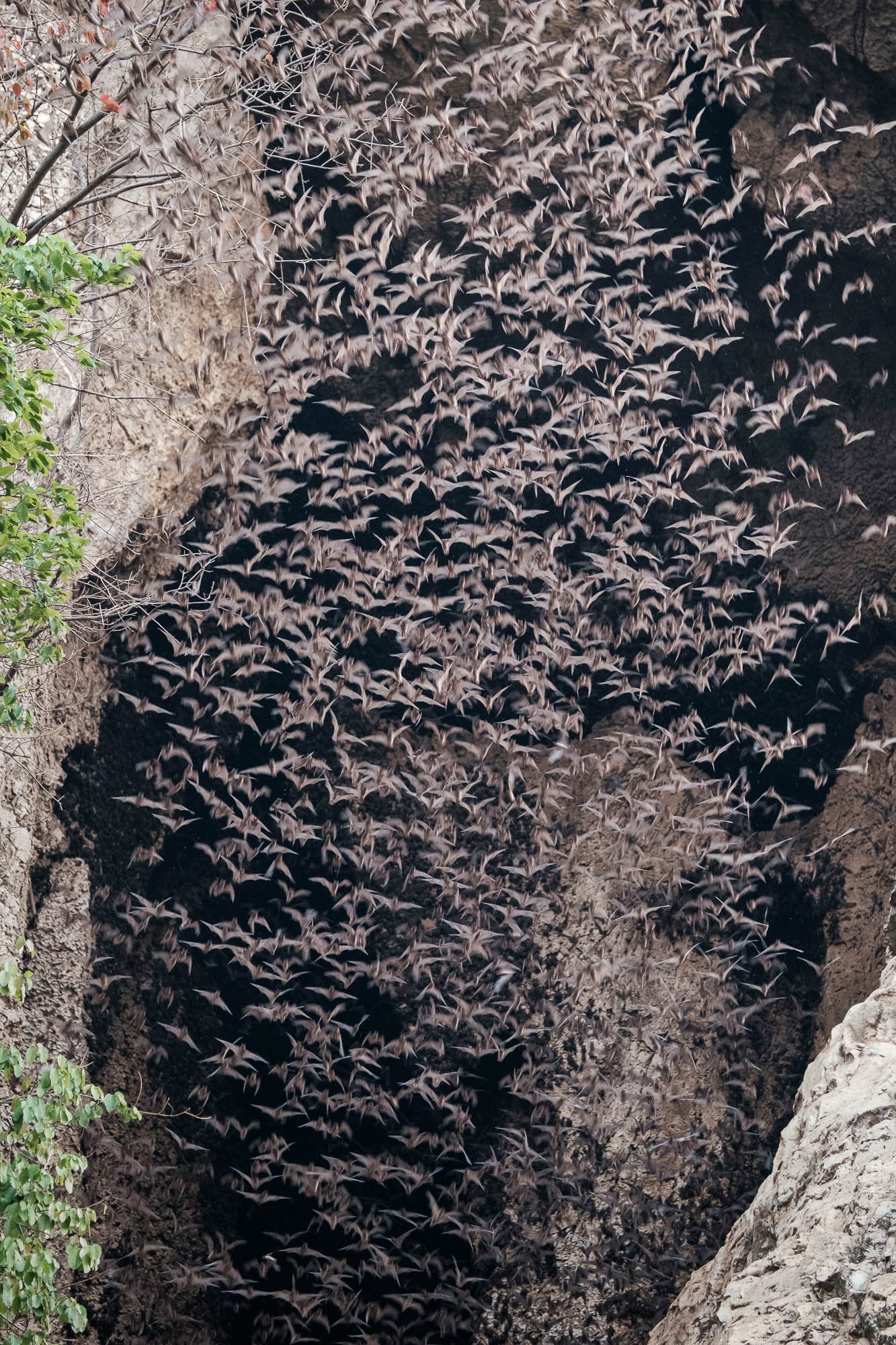 Kambodscha / Cambodia