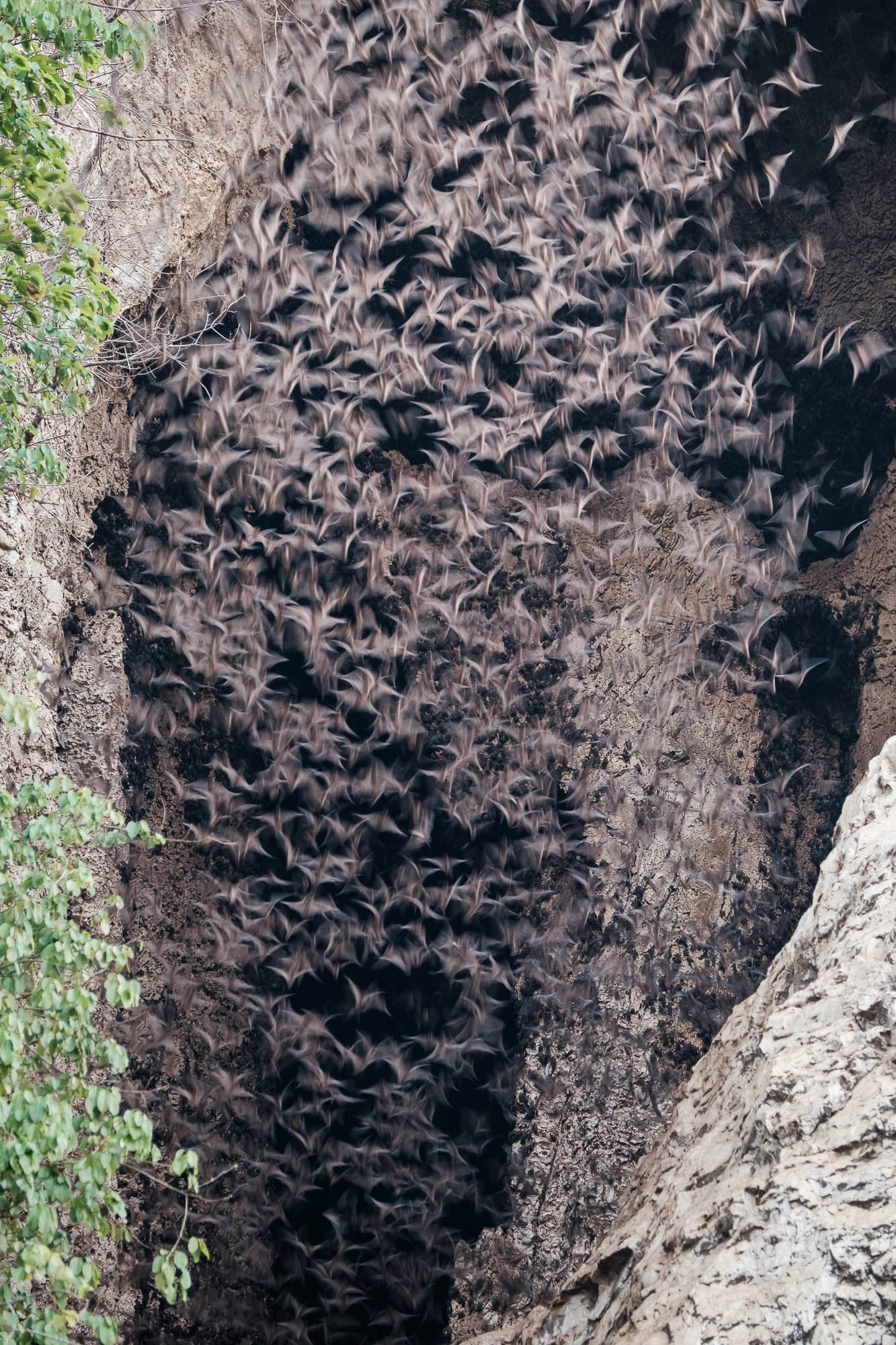 Kambodscha / Cambodia
