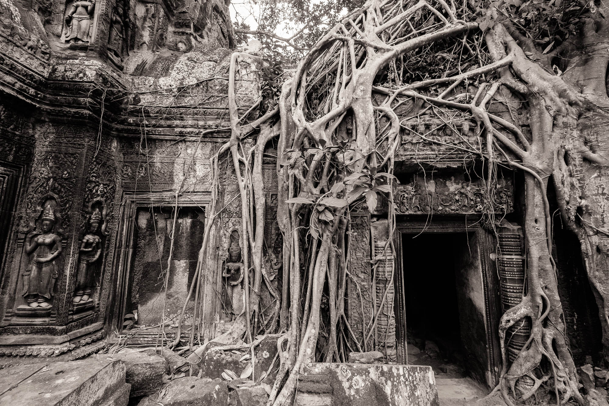 Kambodscha / Cambodia