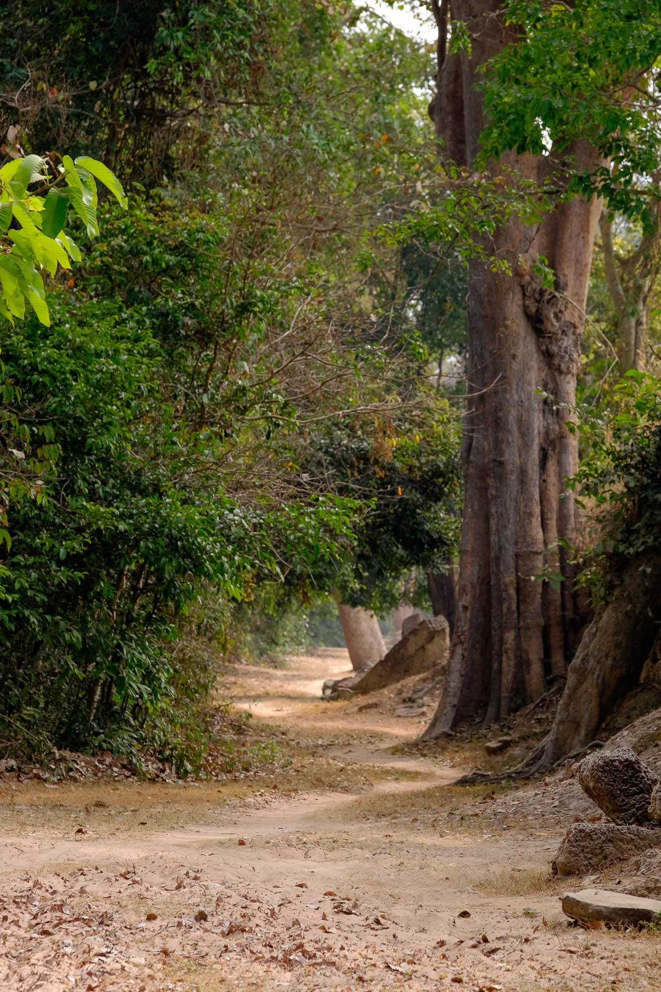 Kambodscha / Cambodia