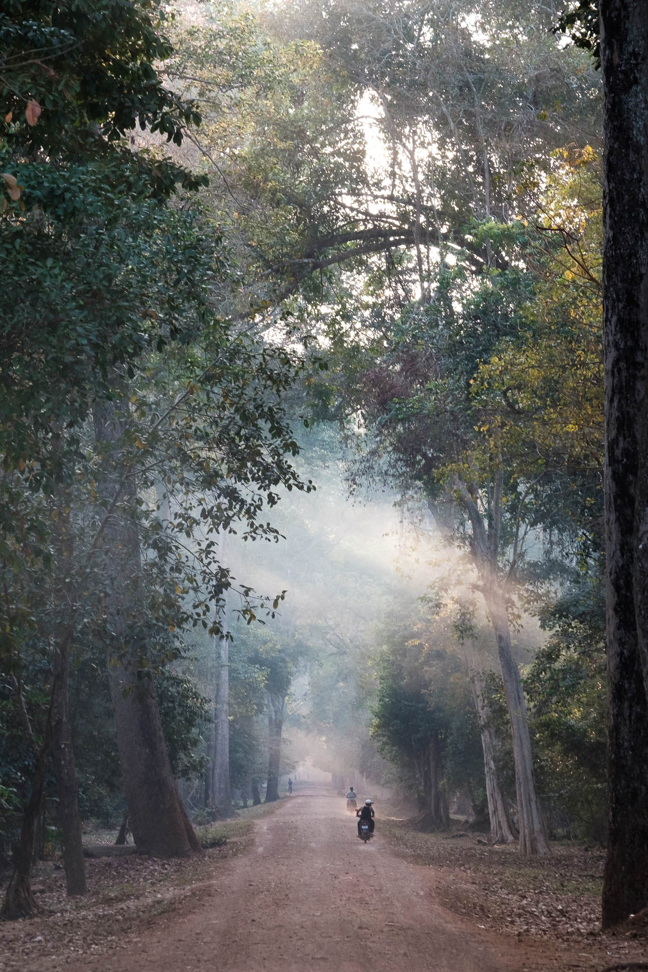Dusty road