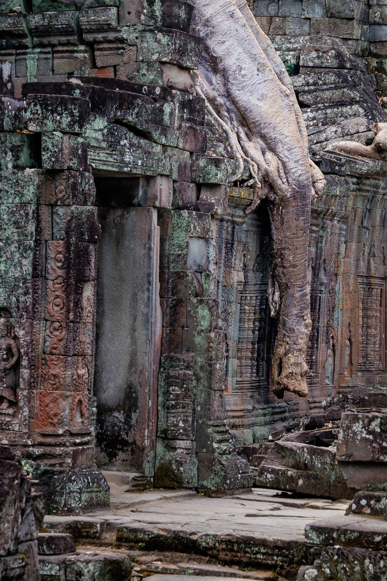 Kambodscha / Cambodia