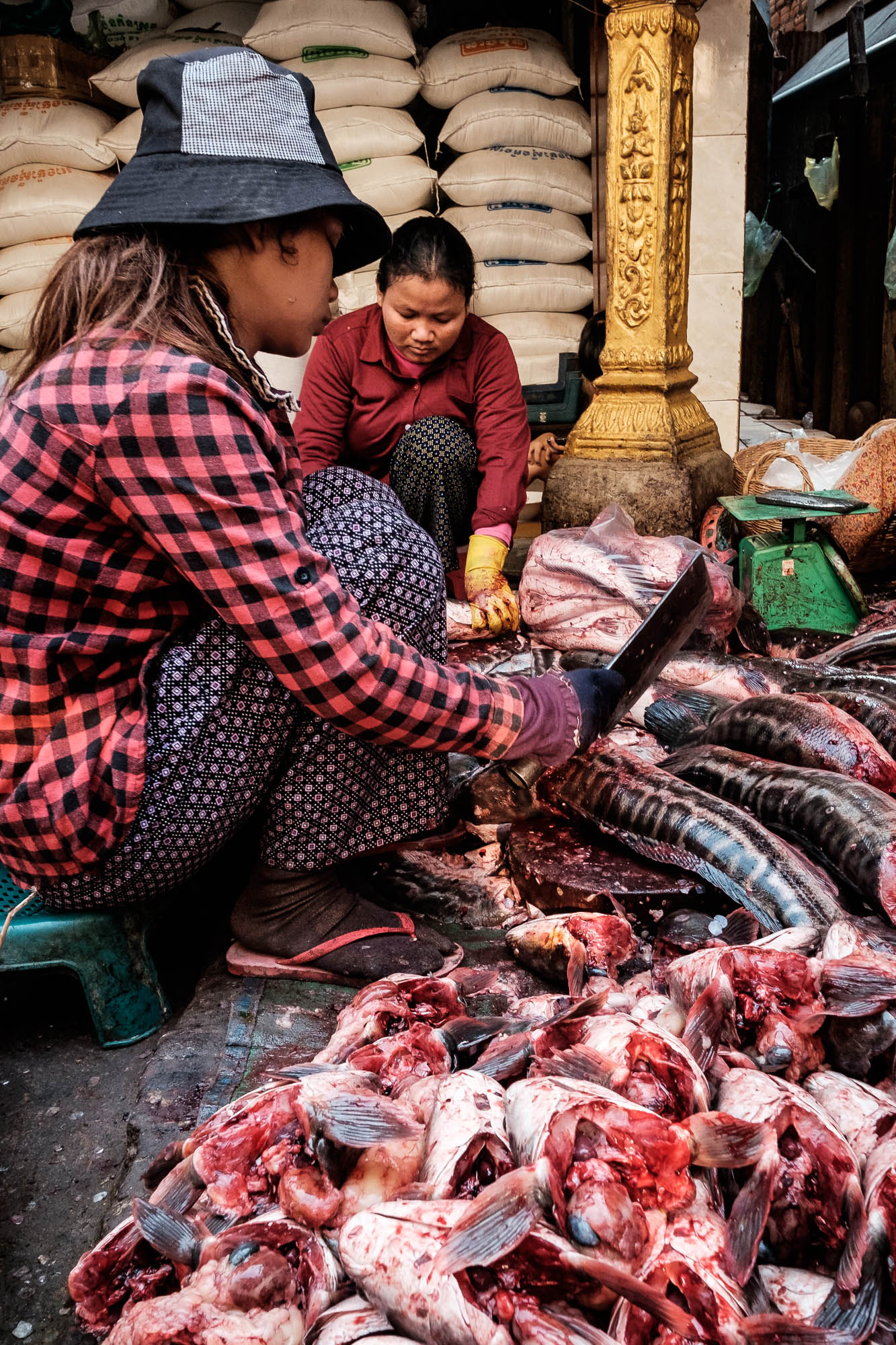 Kambodscha / Cambodia