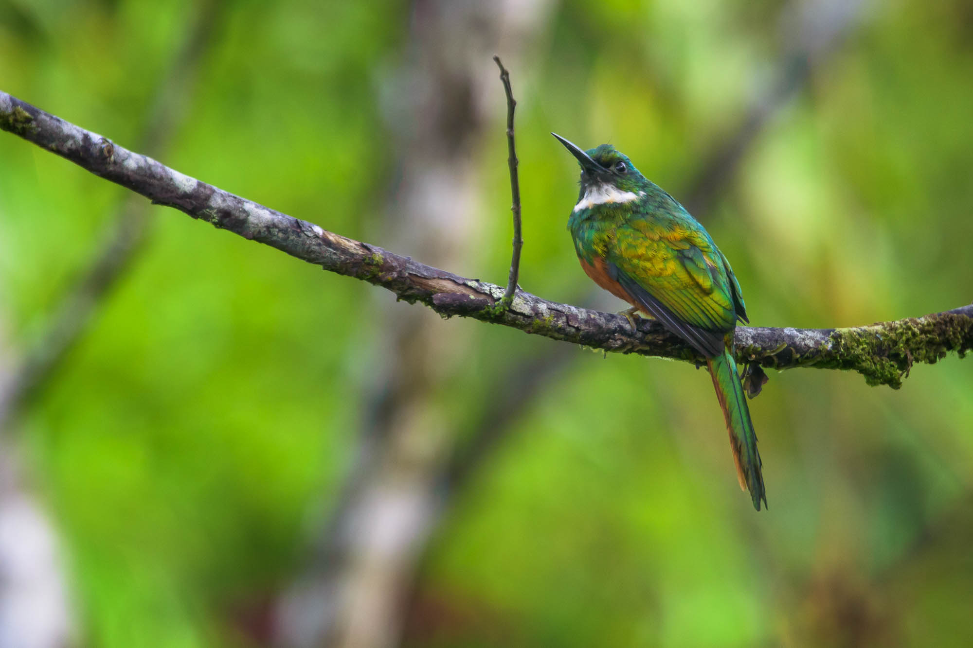 Costa Rica