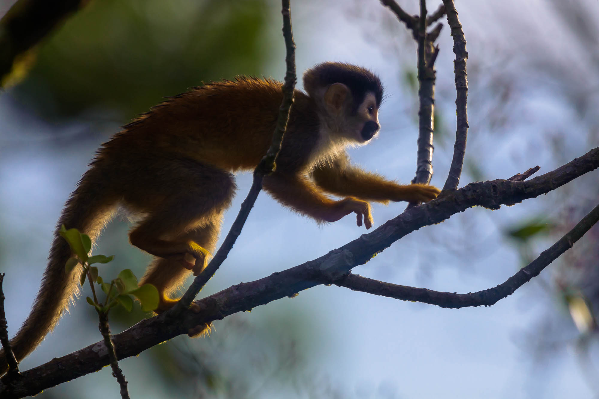 Costa Rica