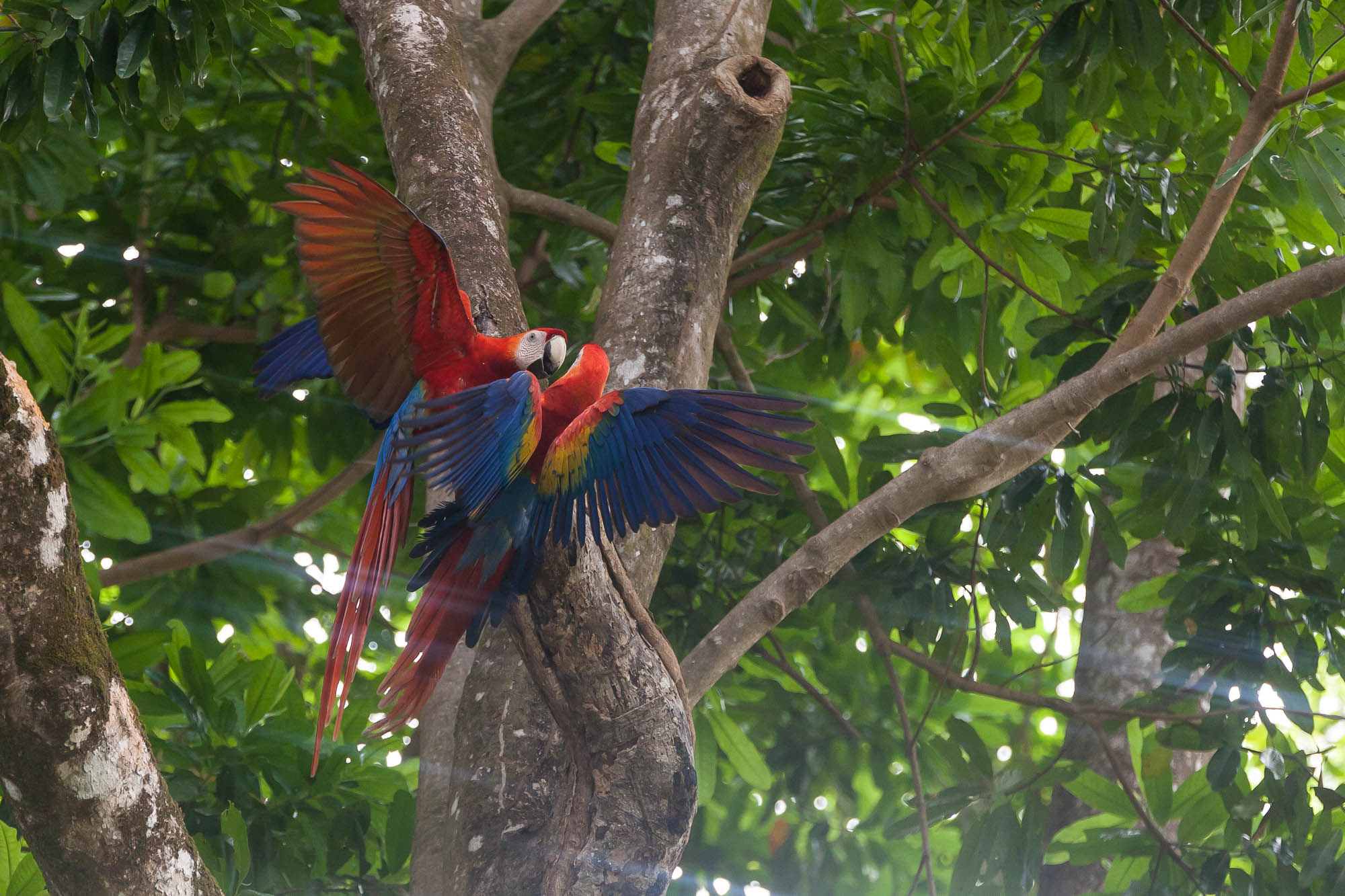 Costa Rica