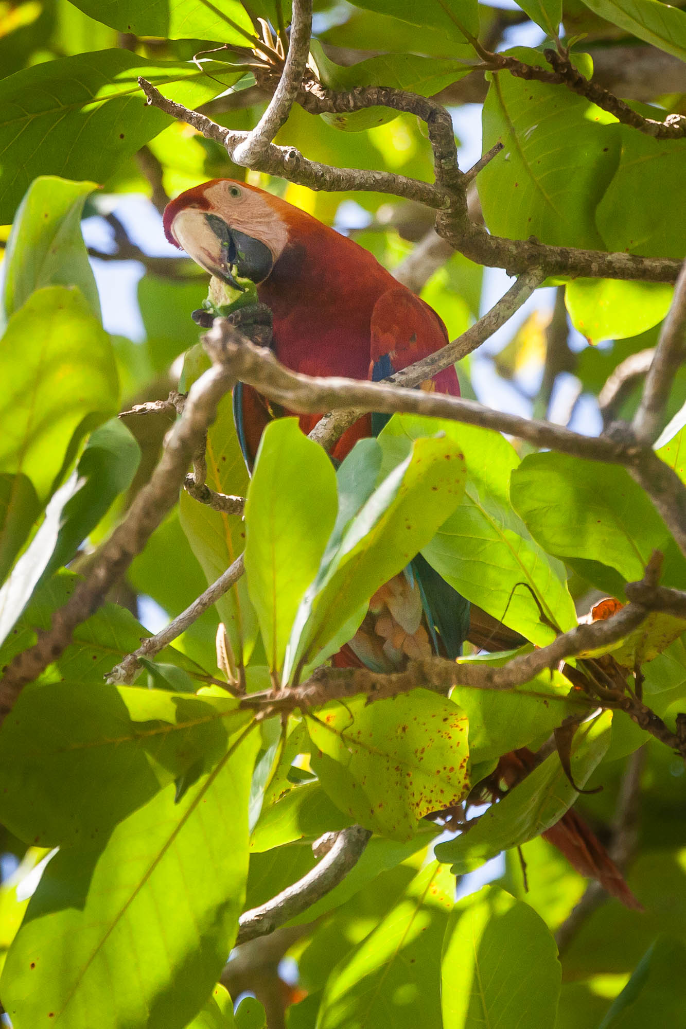 Costa Rica