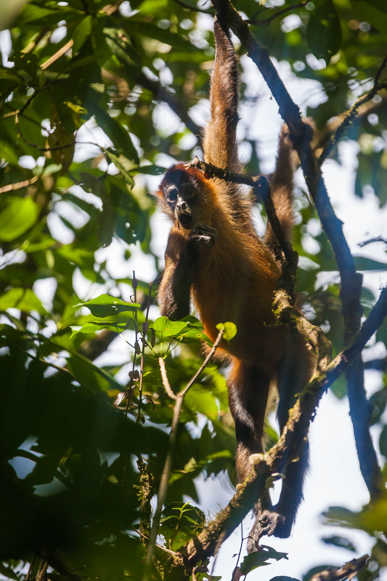 Costa Rica