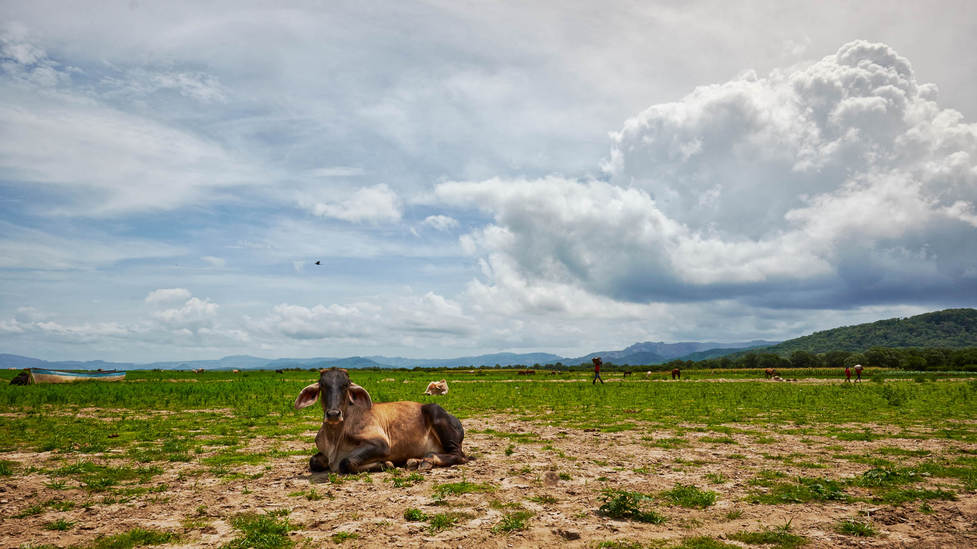  XT10405 C1