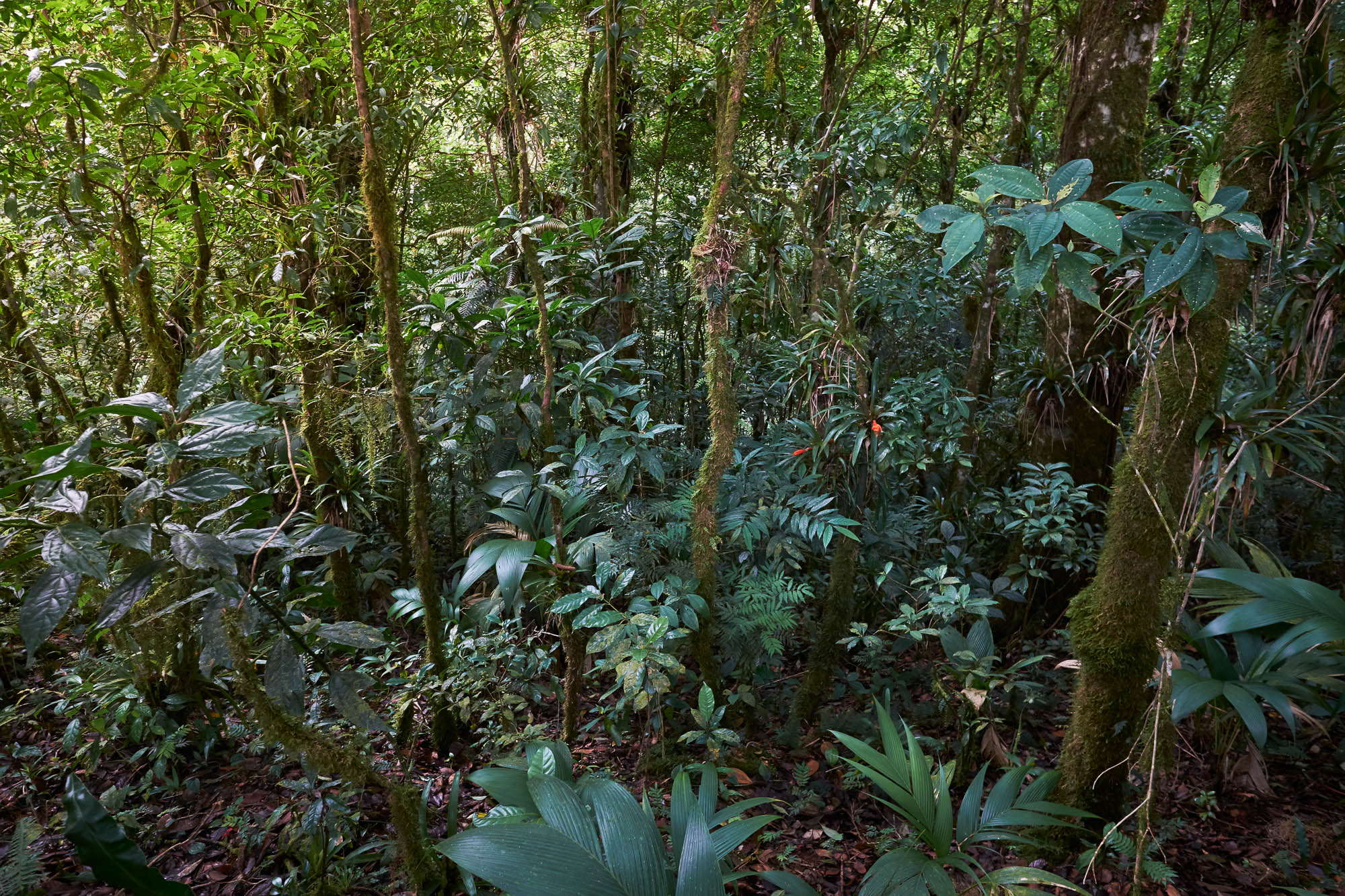 Nicaragua