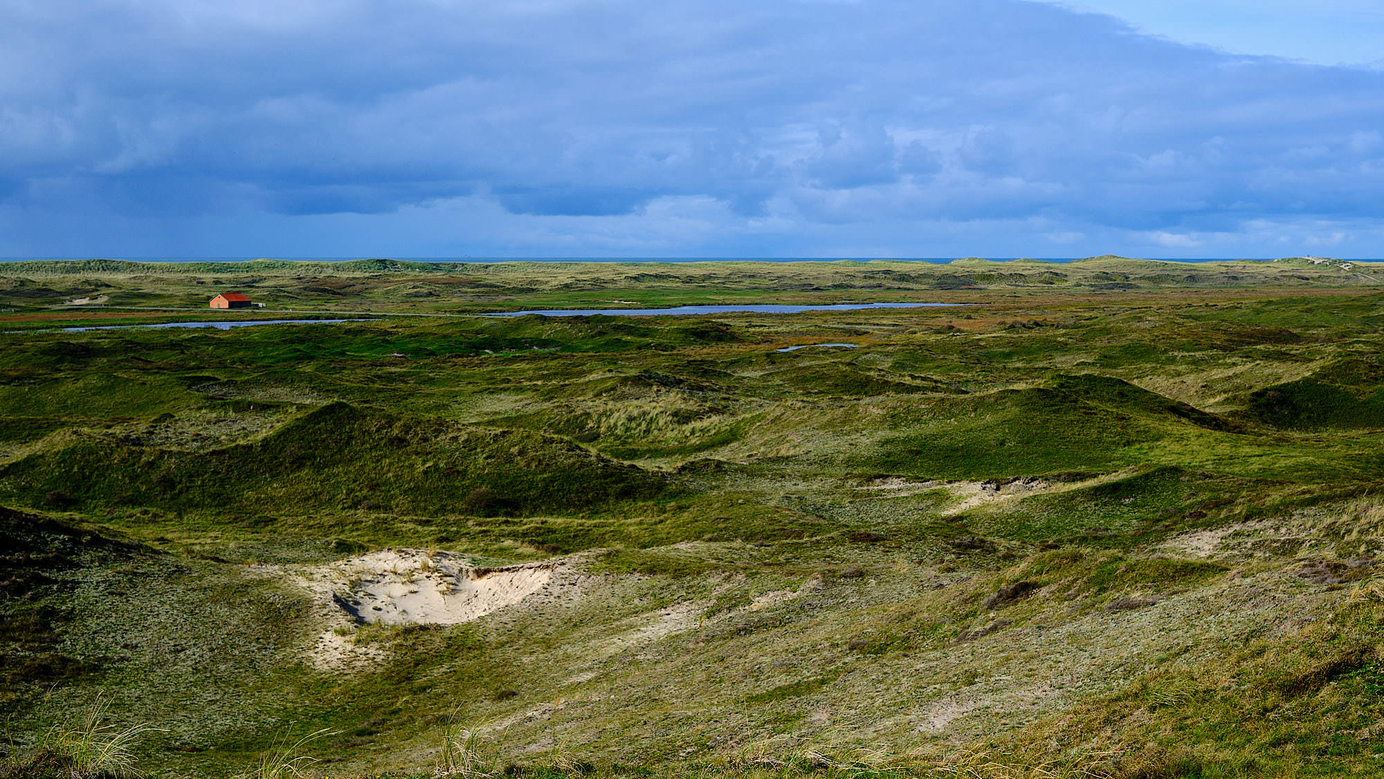 Niederlande - Texel / Netherlands - Texel