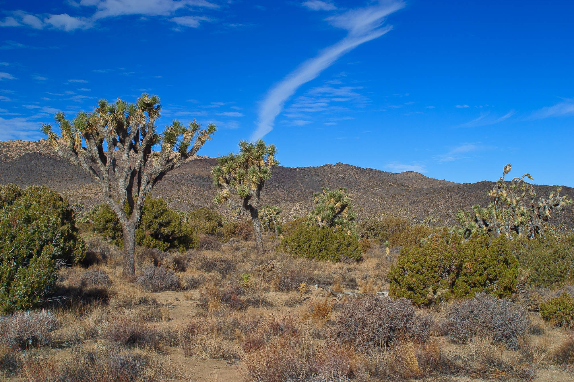USA - Kalifornien / California