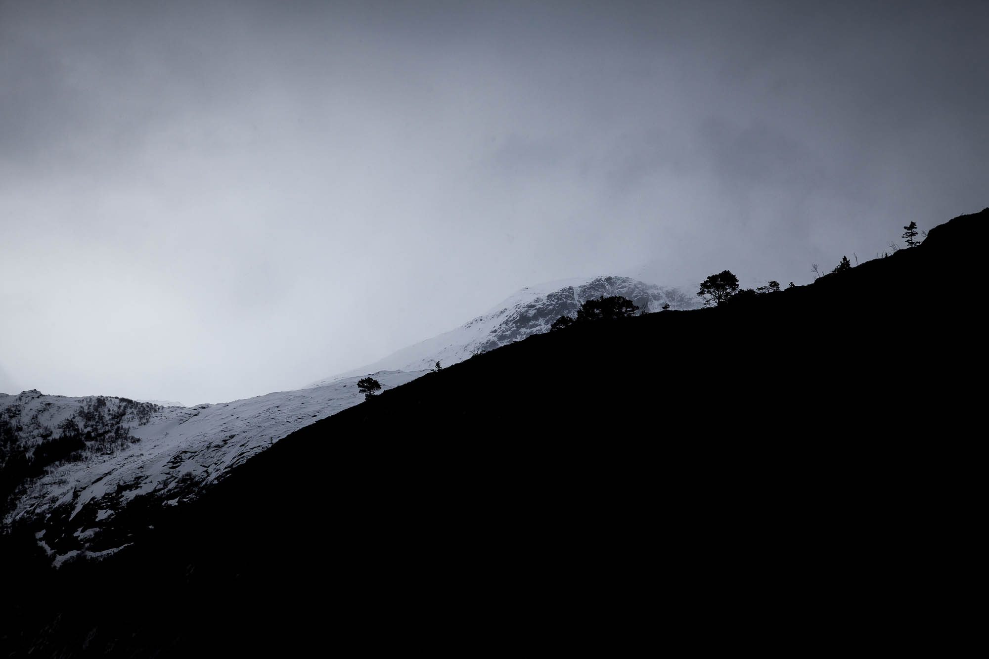 Brennesvika, Rødøy