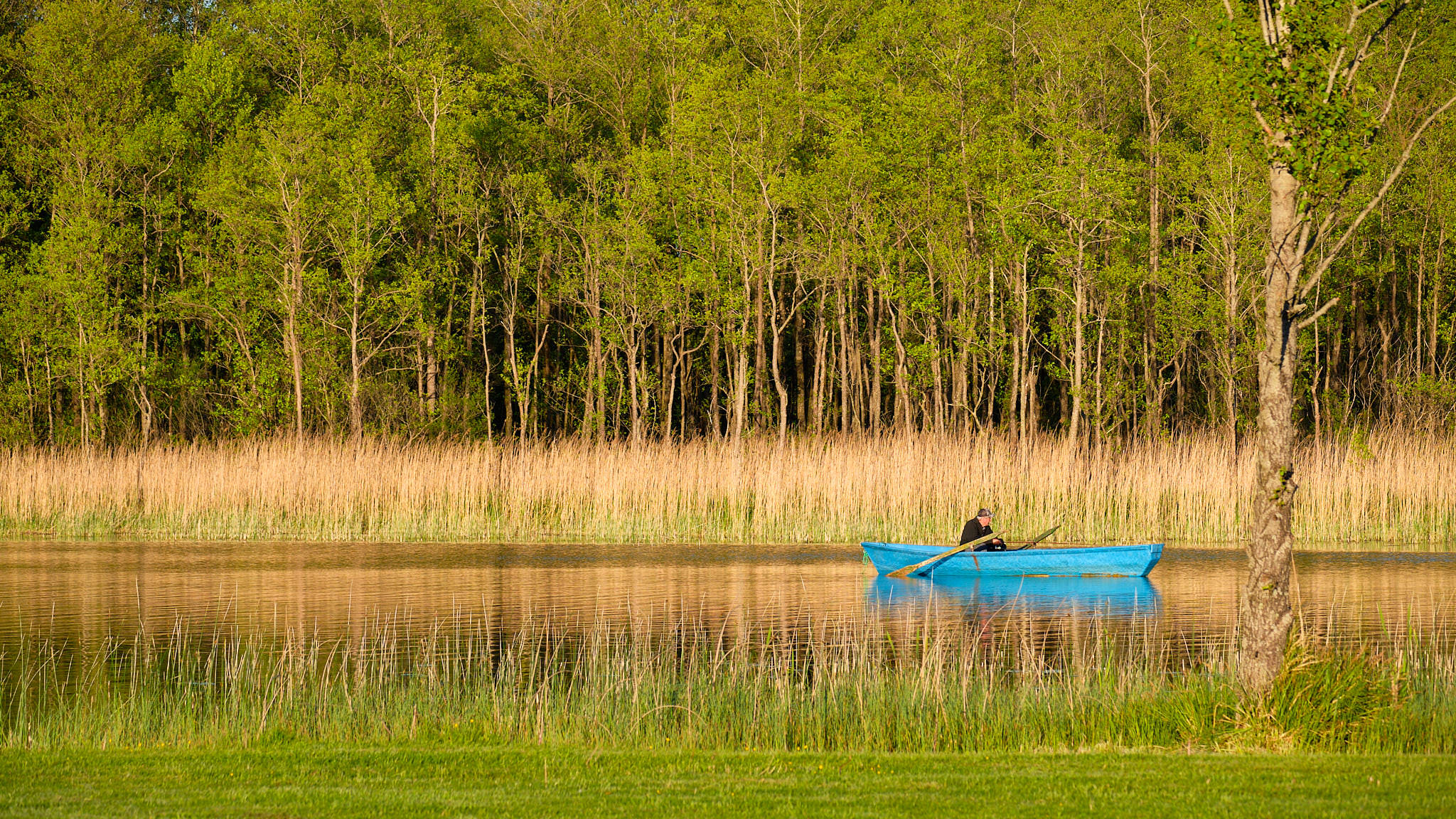 Kamedul - Polen - Poland