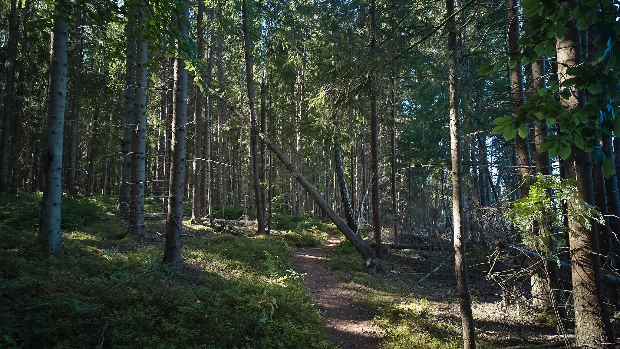 DJI 20250820093237 0005 D