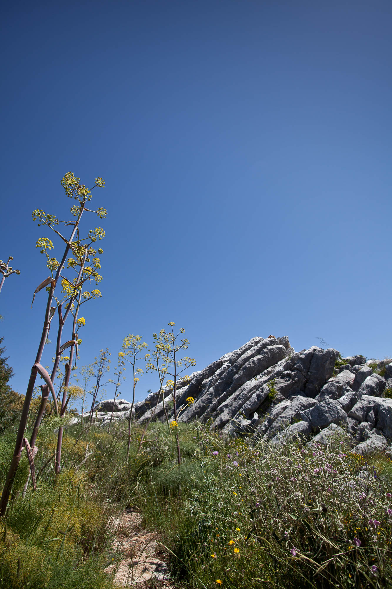 Spanien - Andalusien / Spain - Andalusia