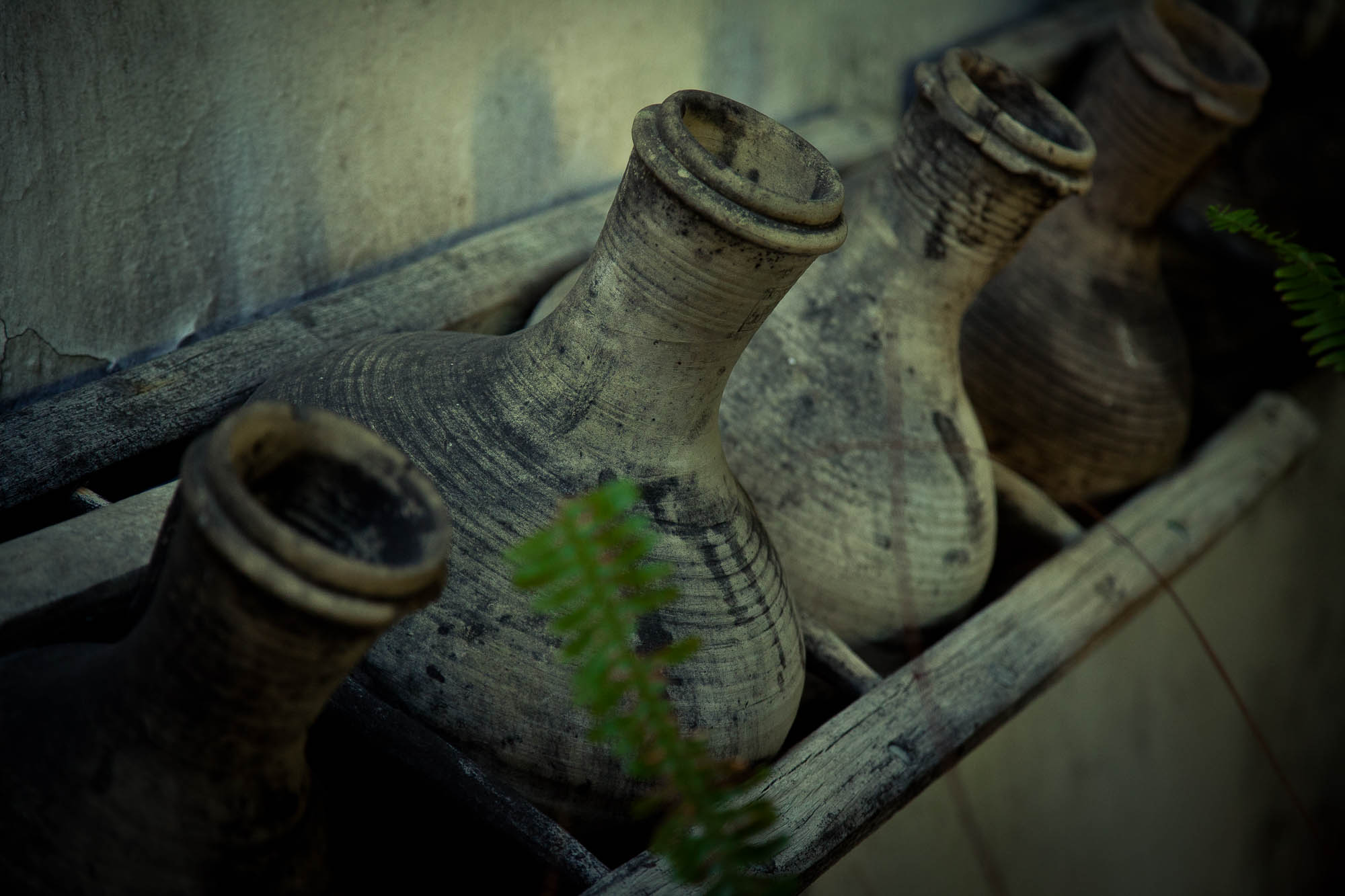 Spanien - Andalusien / Spain - Andalusia