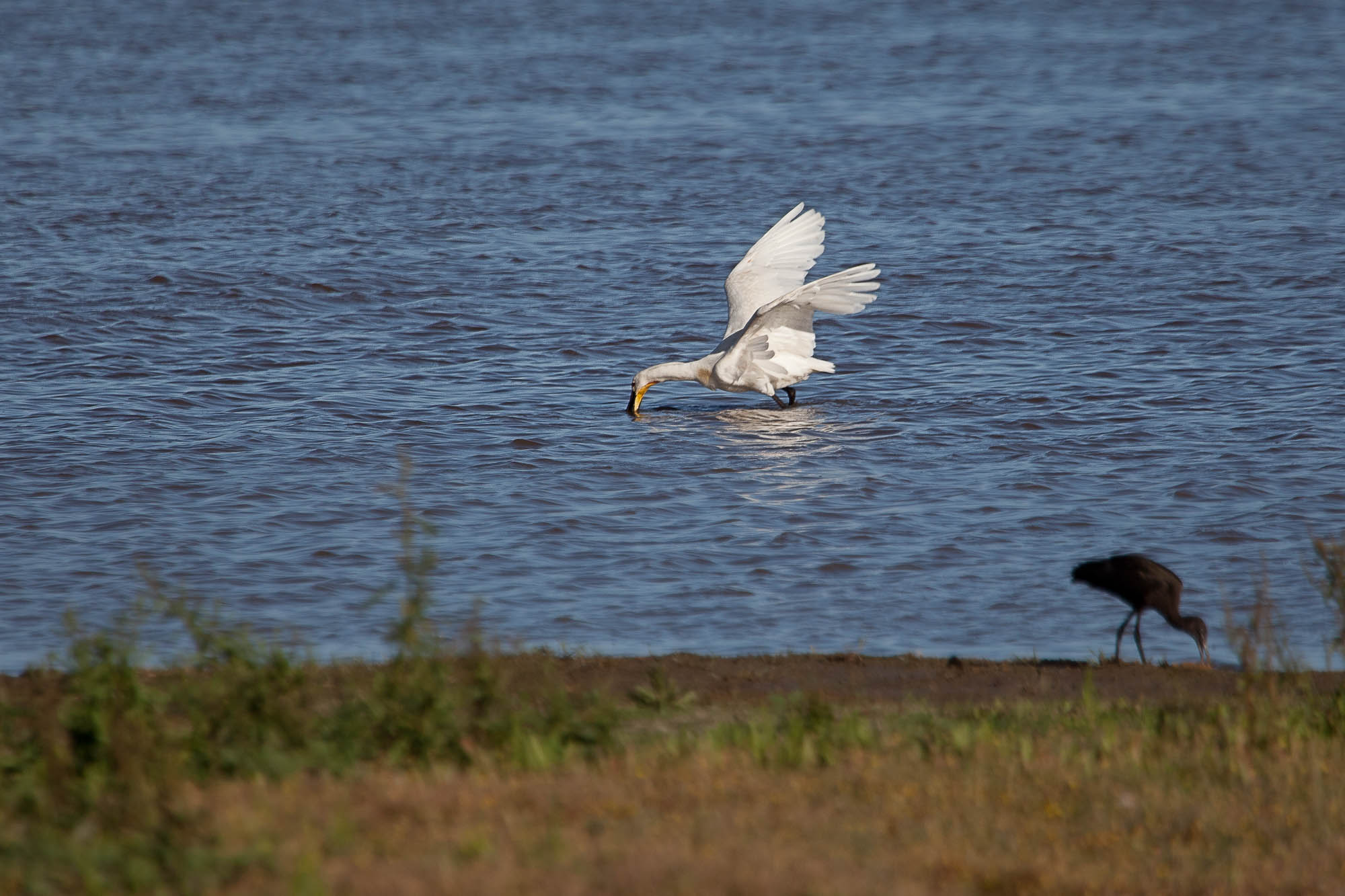Spanien - Andalusien / Spain - Andalusia