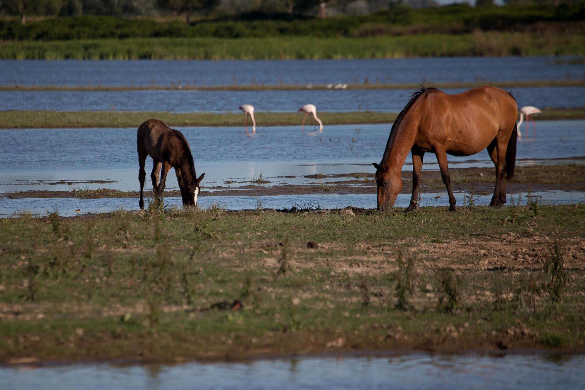 Spanien - Andalusien / Spain - Andalusia