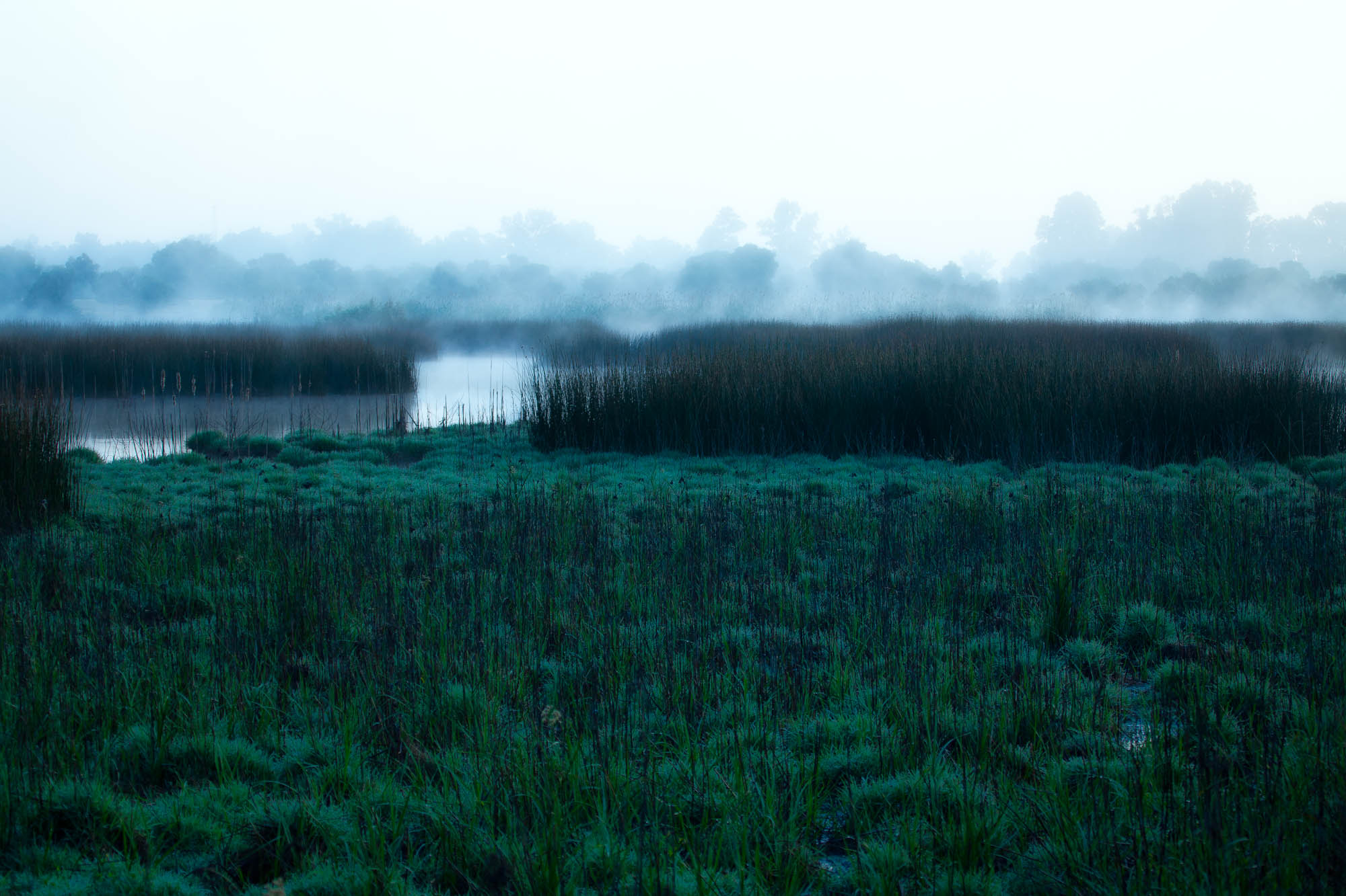 Spanien - Andalusien / Spain - Andalusia