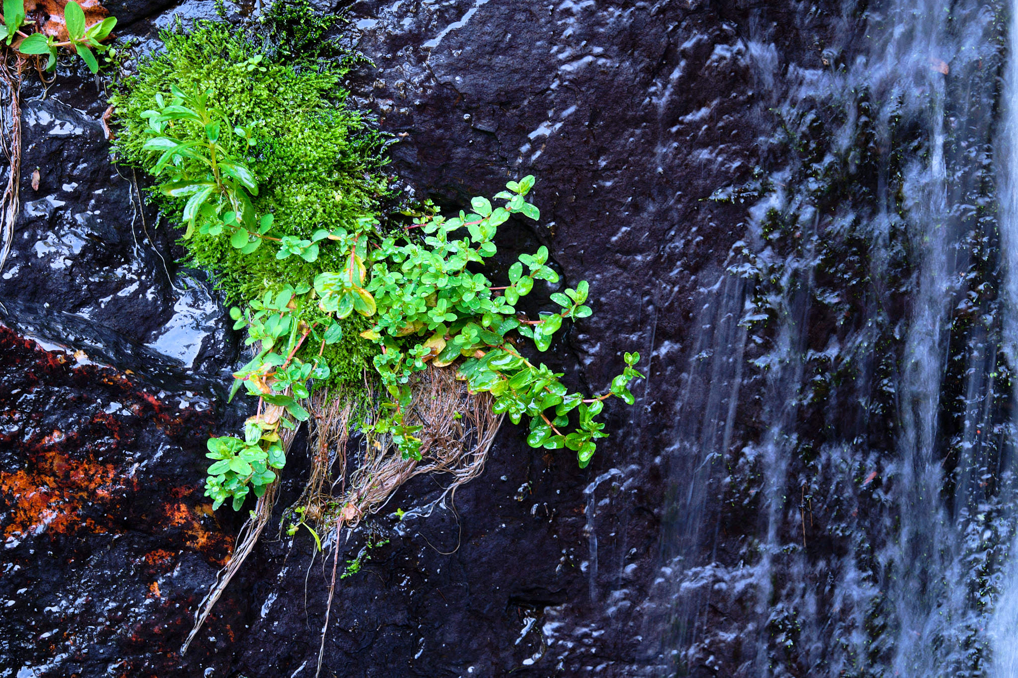 Extremadura 2698 XH14339