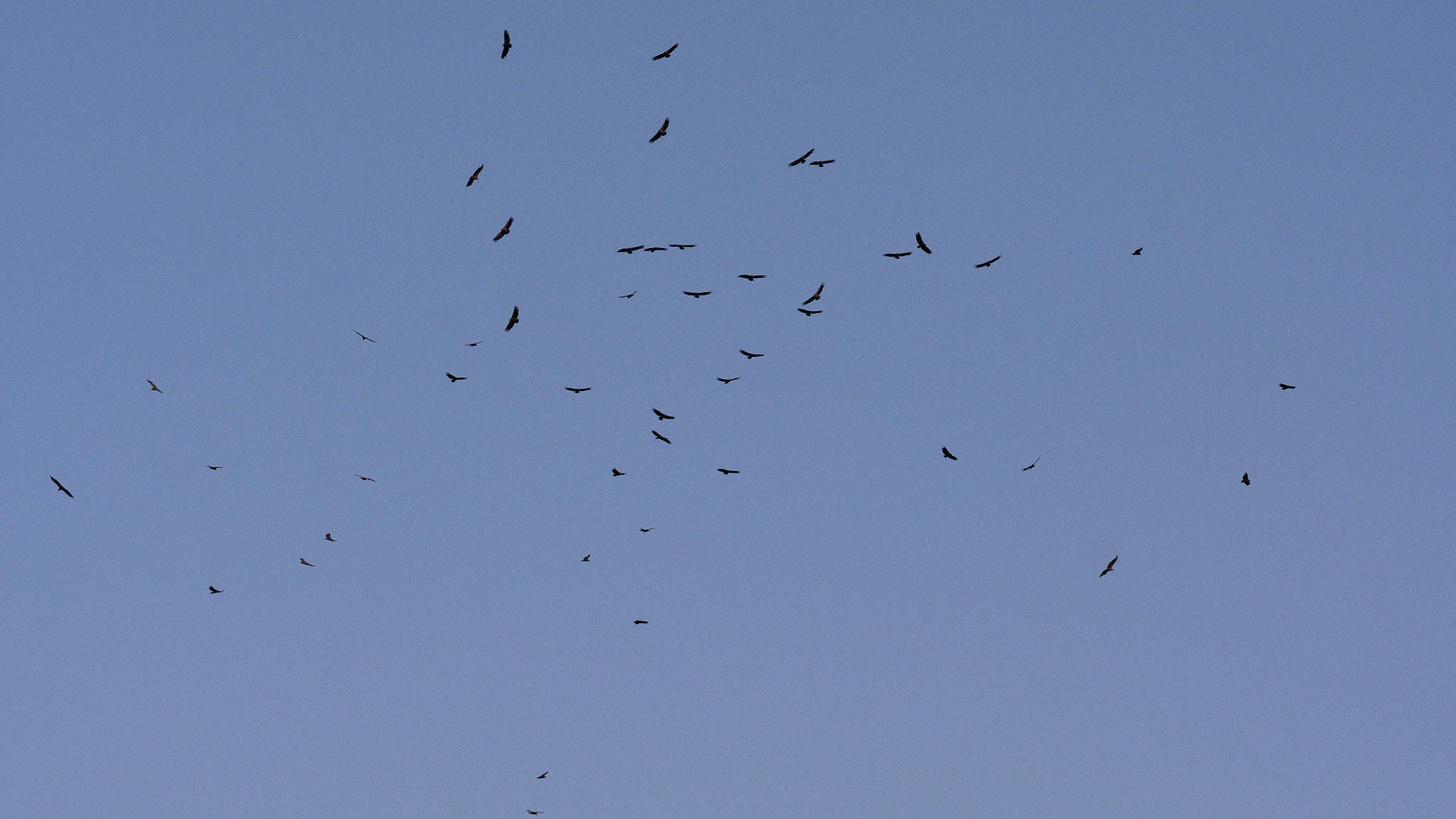 Extremadura 2809 XH14385