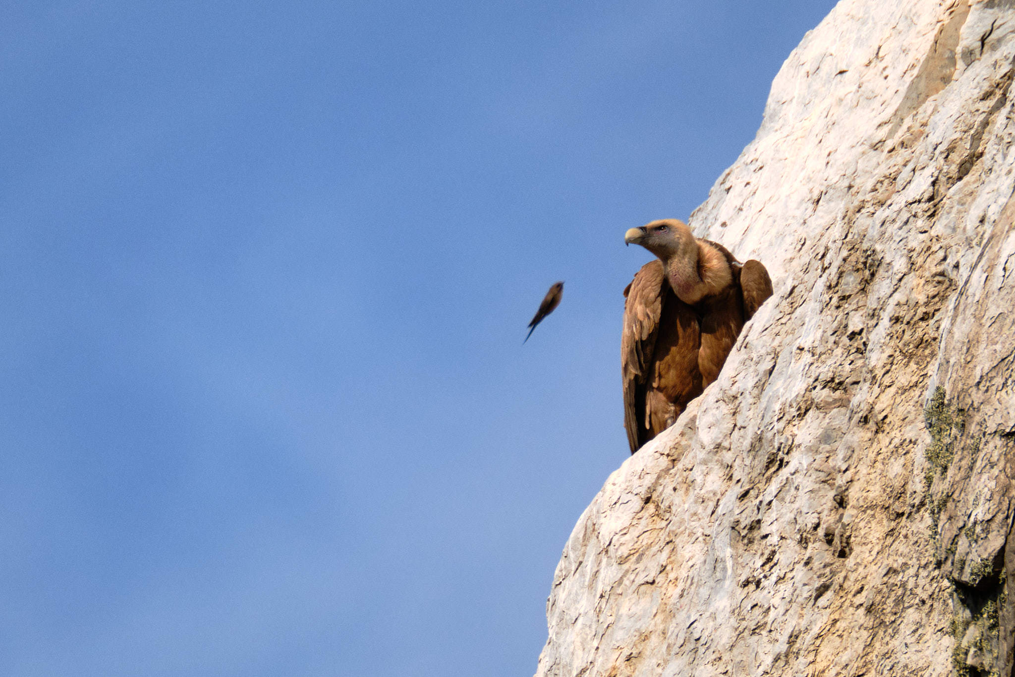 Extremadura 2960 XH14536