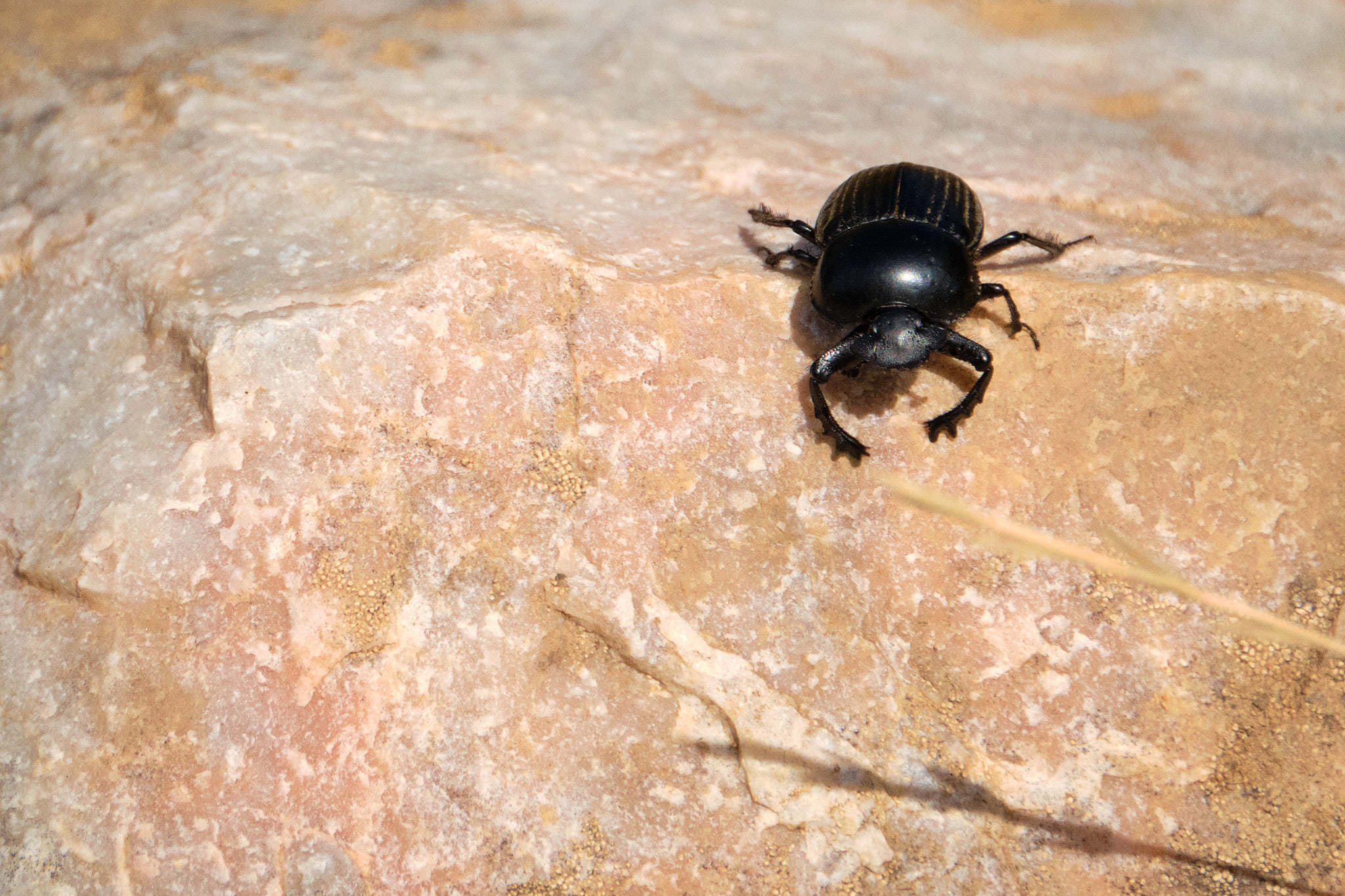 Extremadura 3011 XH14587