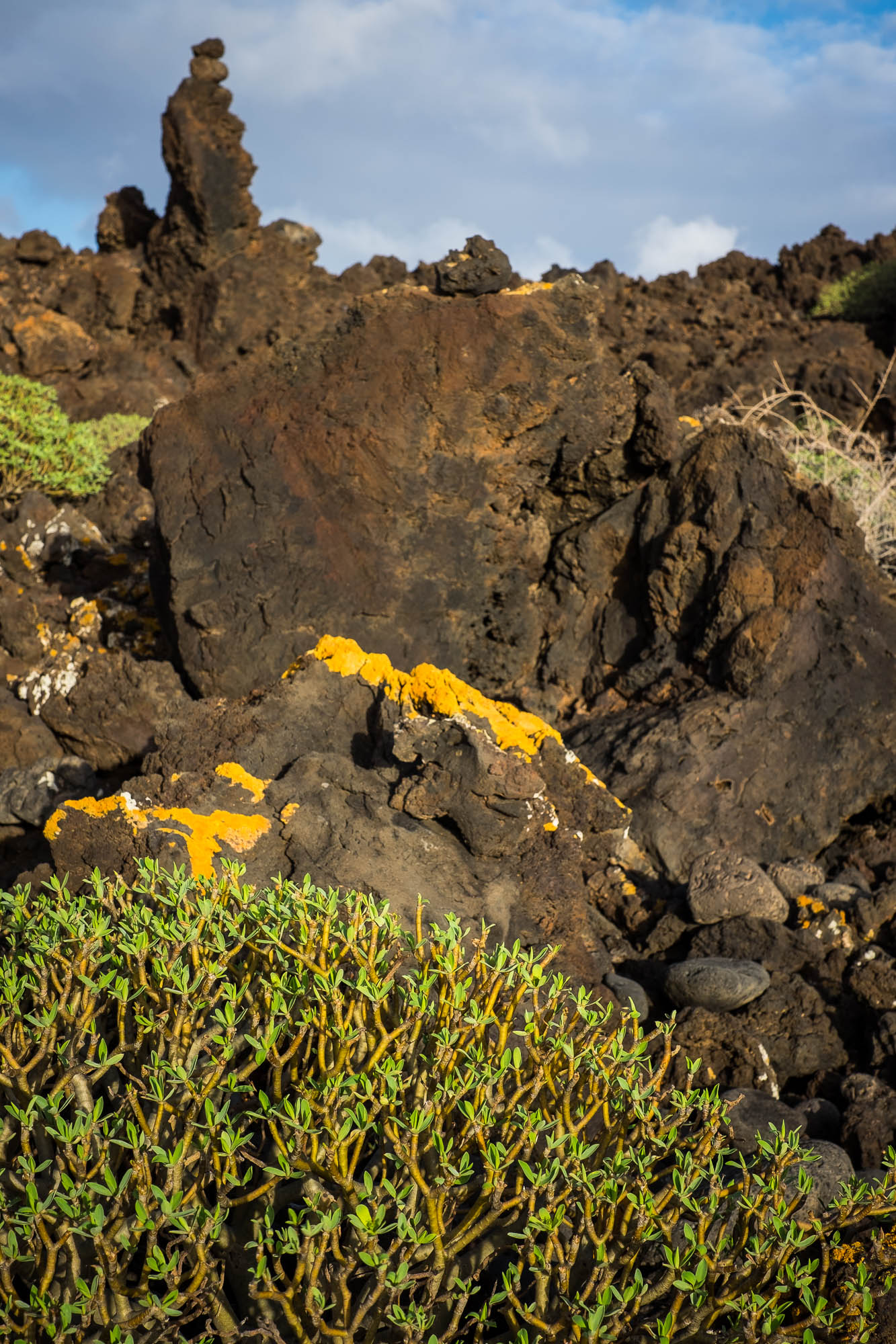 Spanien - Lanzarote / Spain - Lanzarote