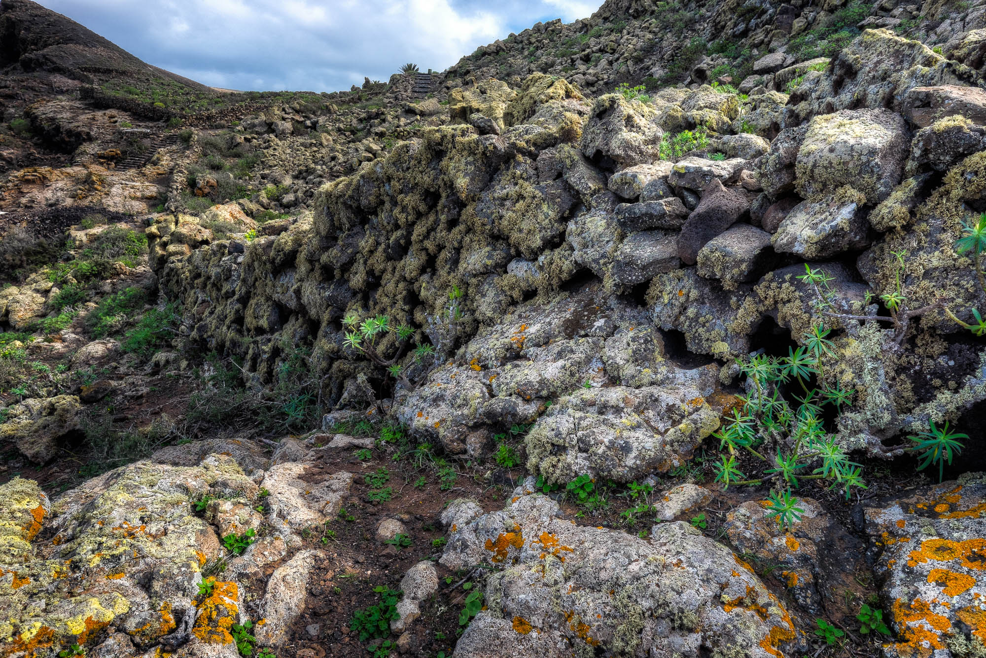 Spanien - Lanzarote / Spain - Lanzarote