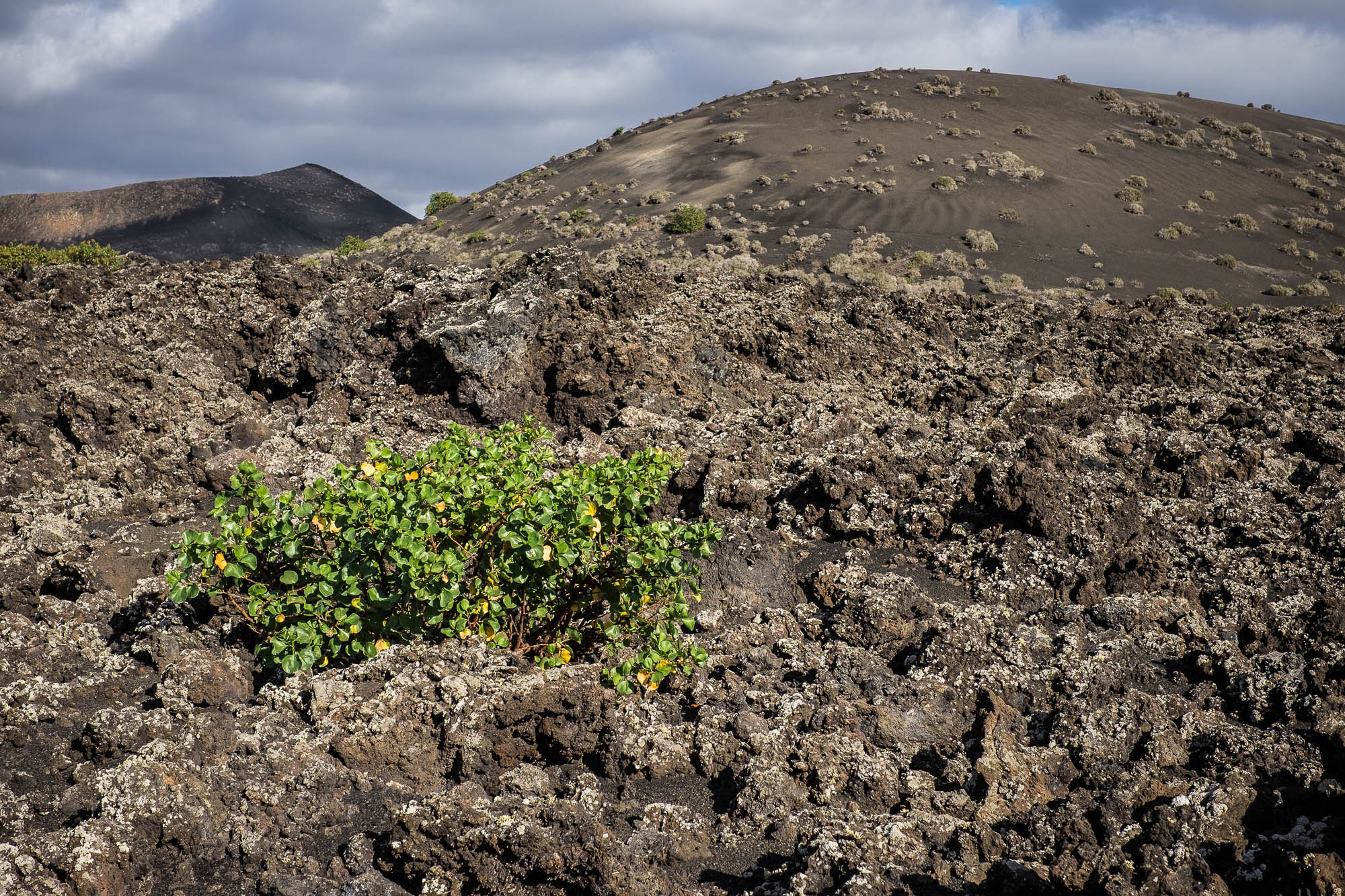 Spanien - Lanzarote / Spain - Lanzarote