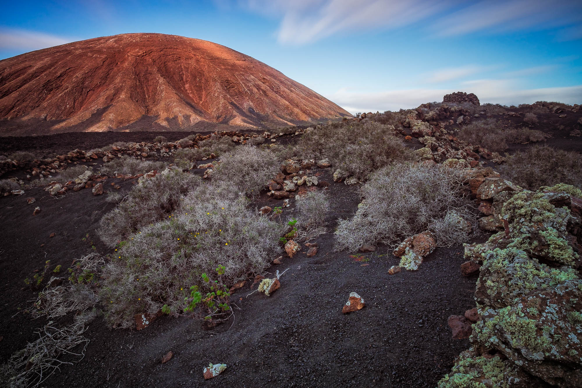 Glowing in the setting sun