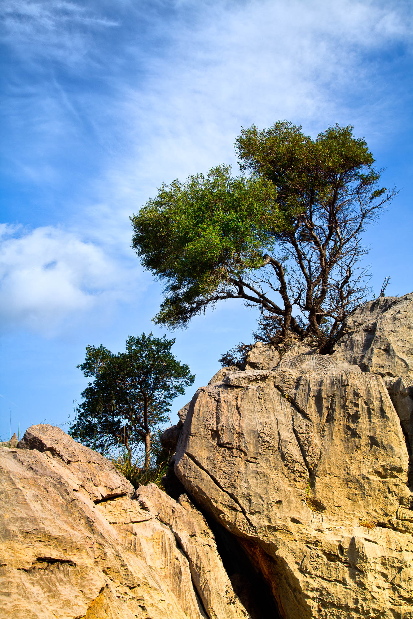 Spanien - Mallorca / Spain - Mallorca