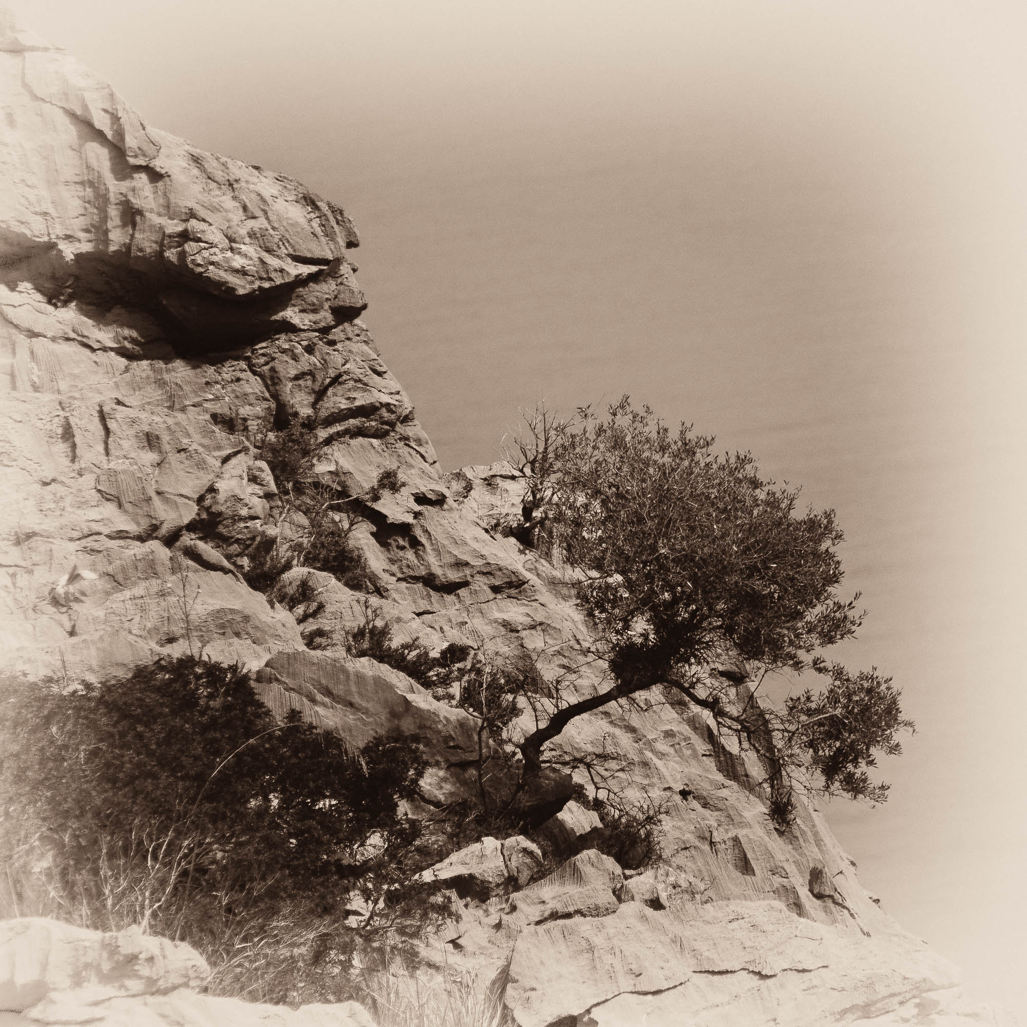 Spanien - Mallorca / Spain - Mallorca