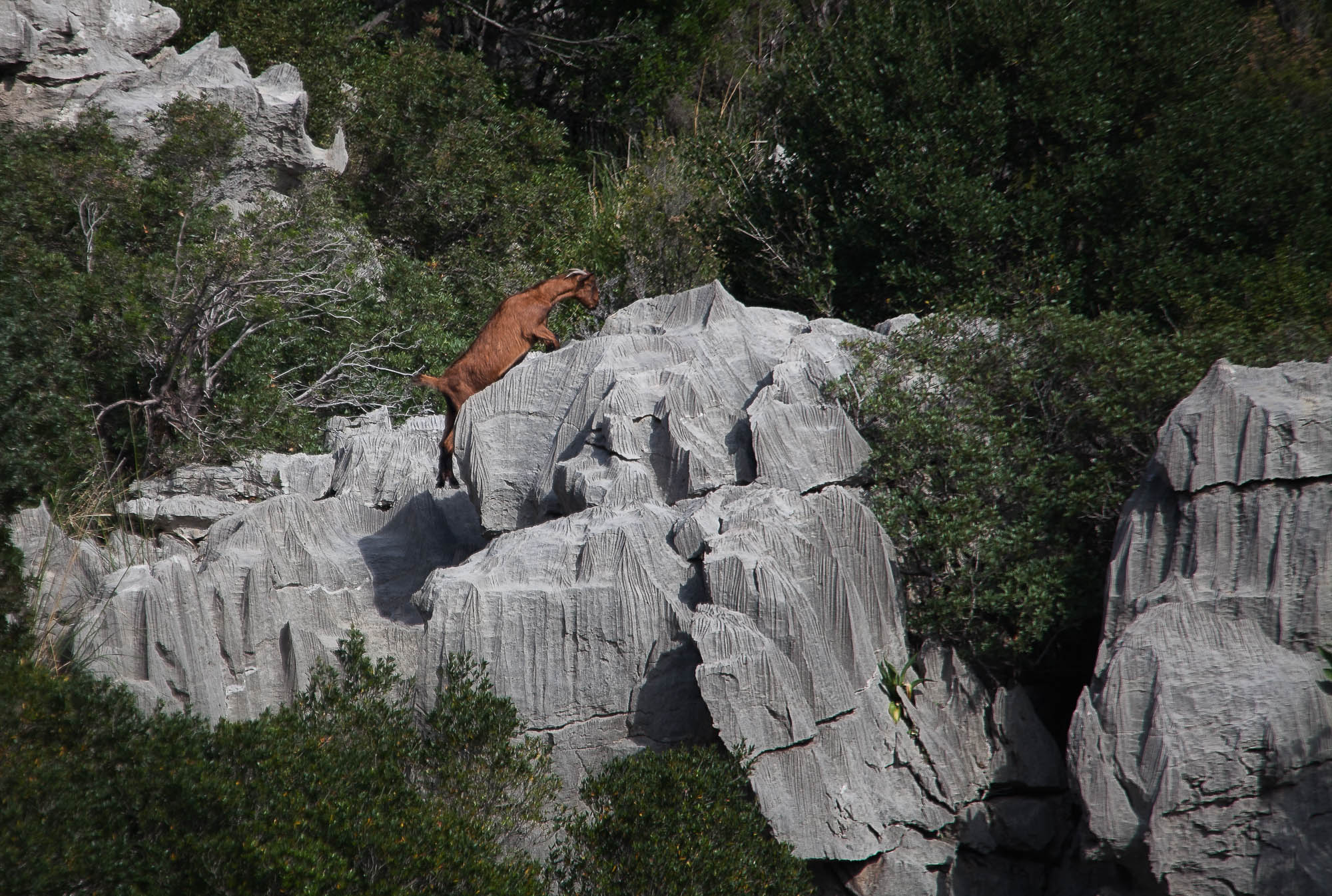 Spanien - Mallorca / Spain - Mallorca
