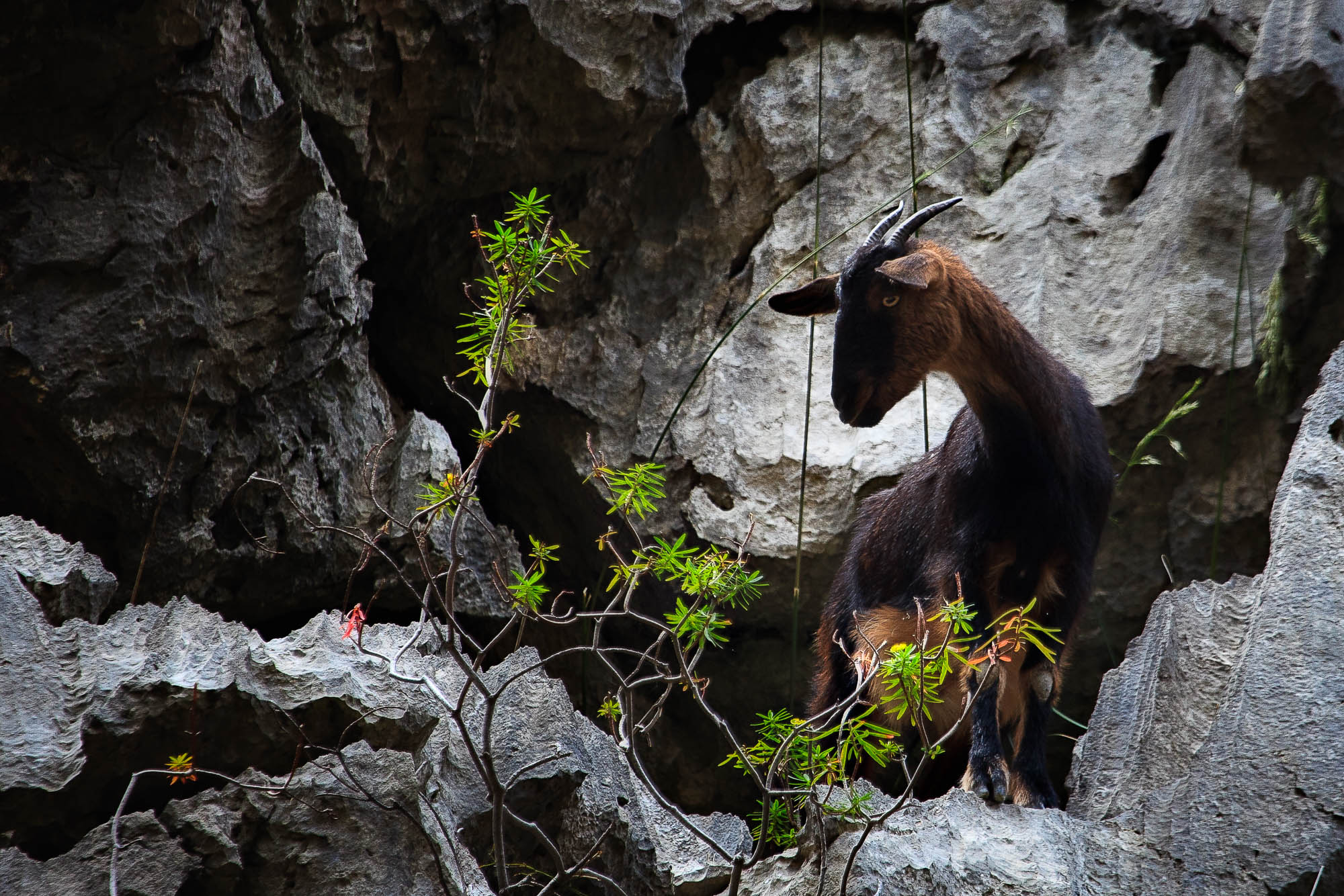 Spanien - Mallorca / Spain - Mallorca