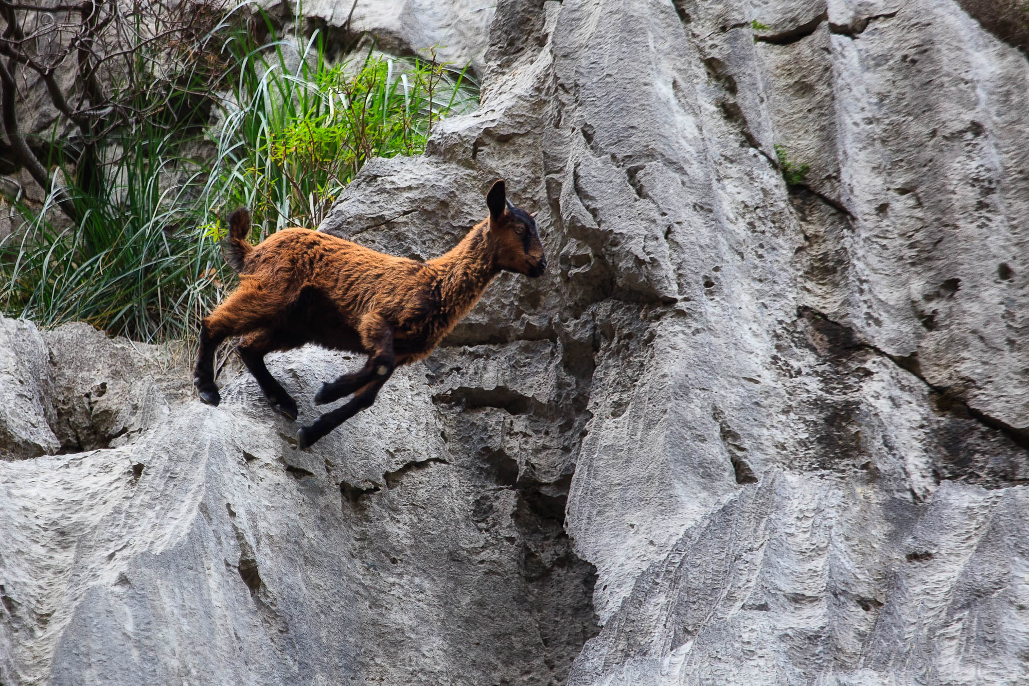 Spanien - Mallorca / Spain - Mallorca