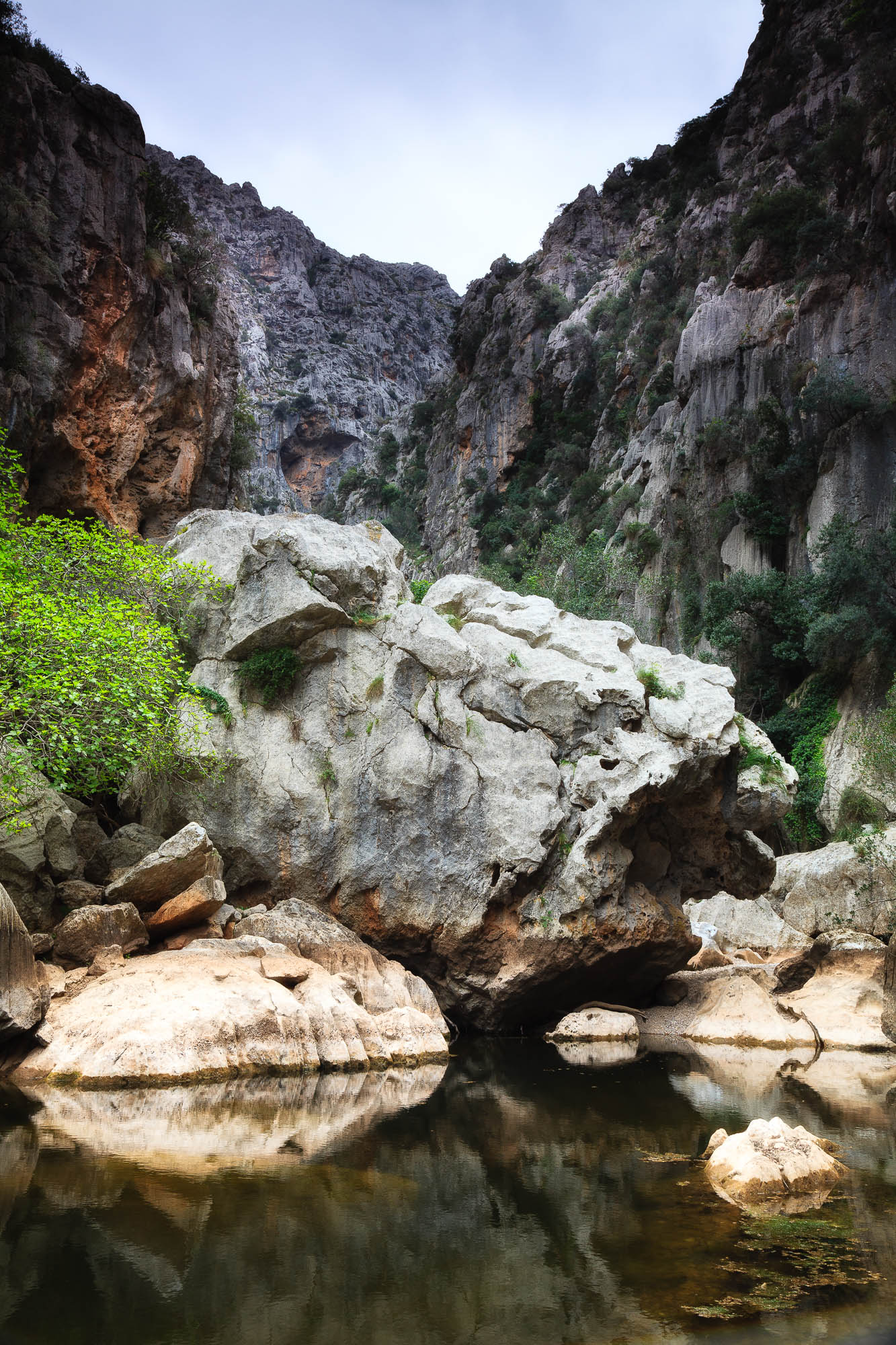 Spanien - Mallorca / Spain - Mallorca