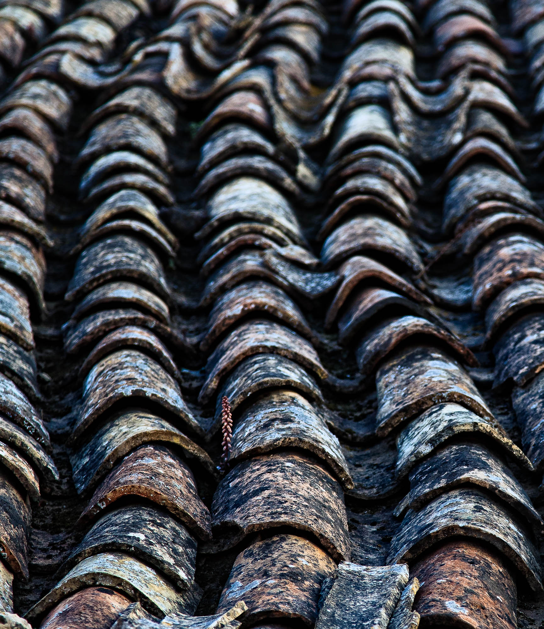 Spanien - Mallorca / Spain - Mallorca