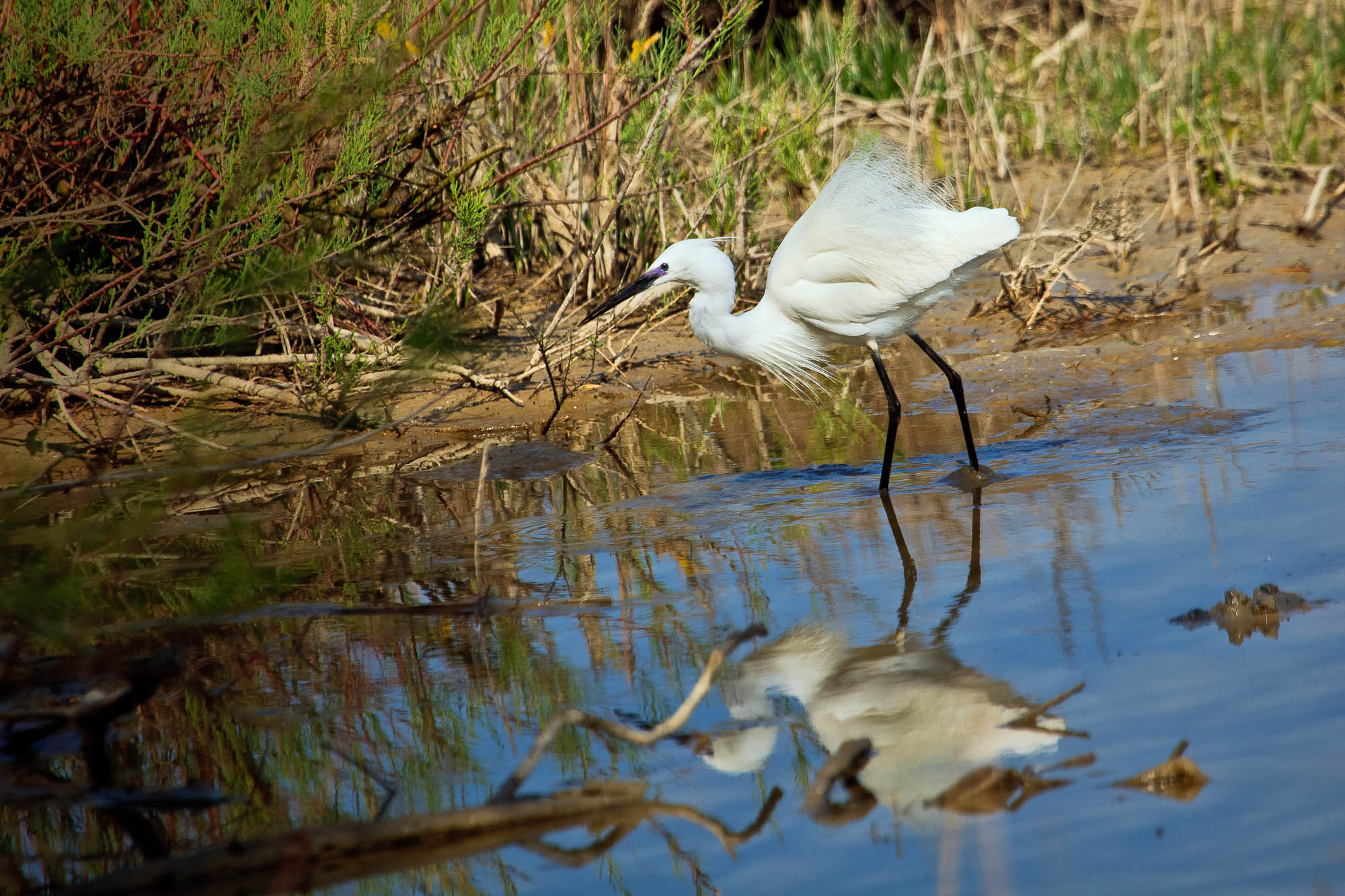 Spanien - Mallorca / Spain - Mallorca