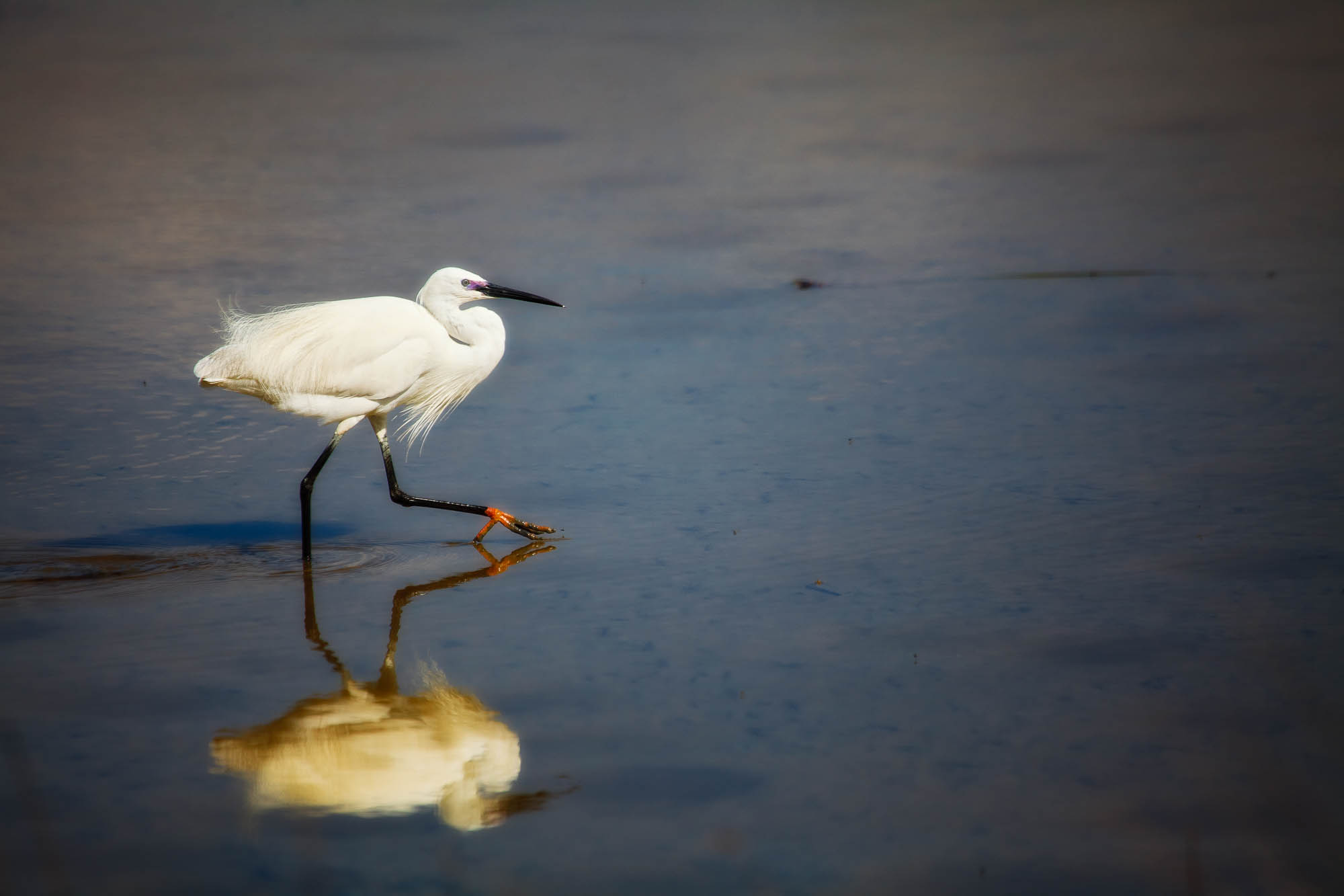 Spanien - Mallorca / Spain - Mallorca