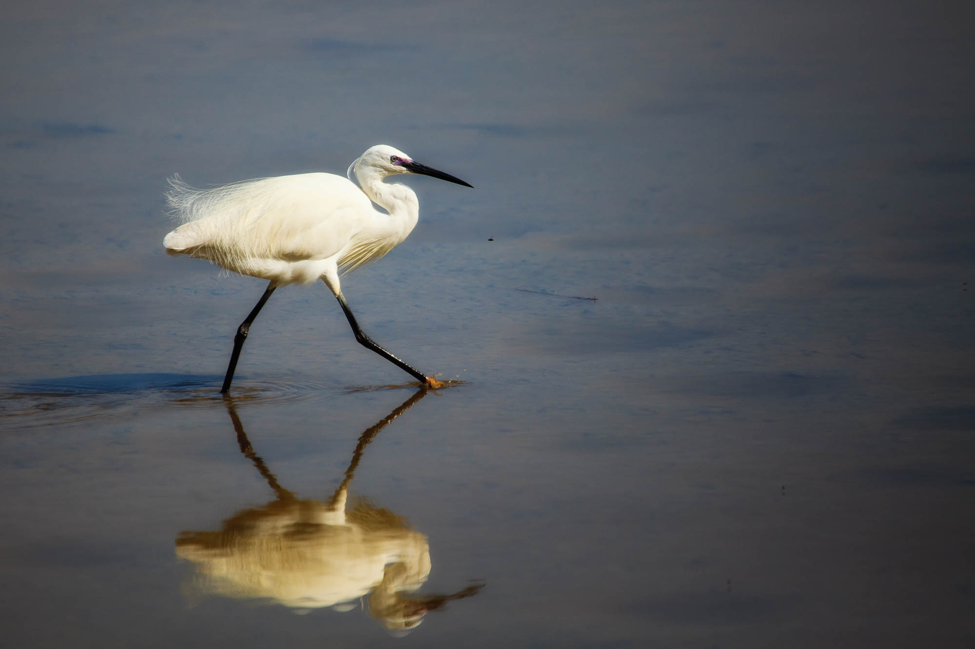 Spanien - Mallorca / Spain - Mallorca