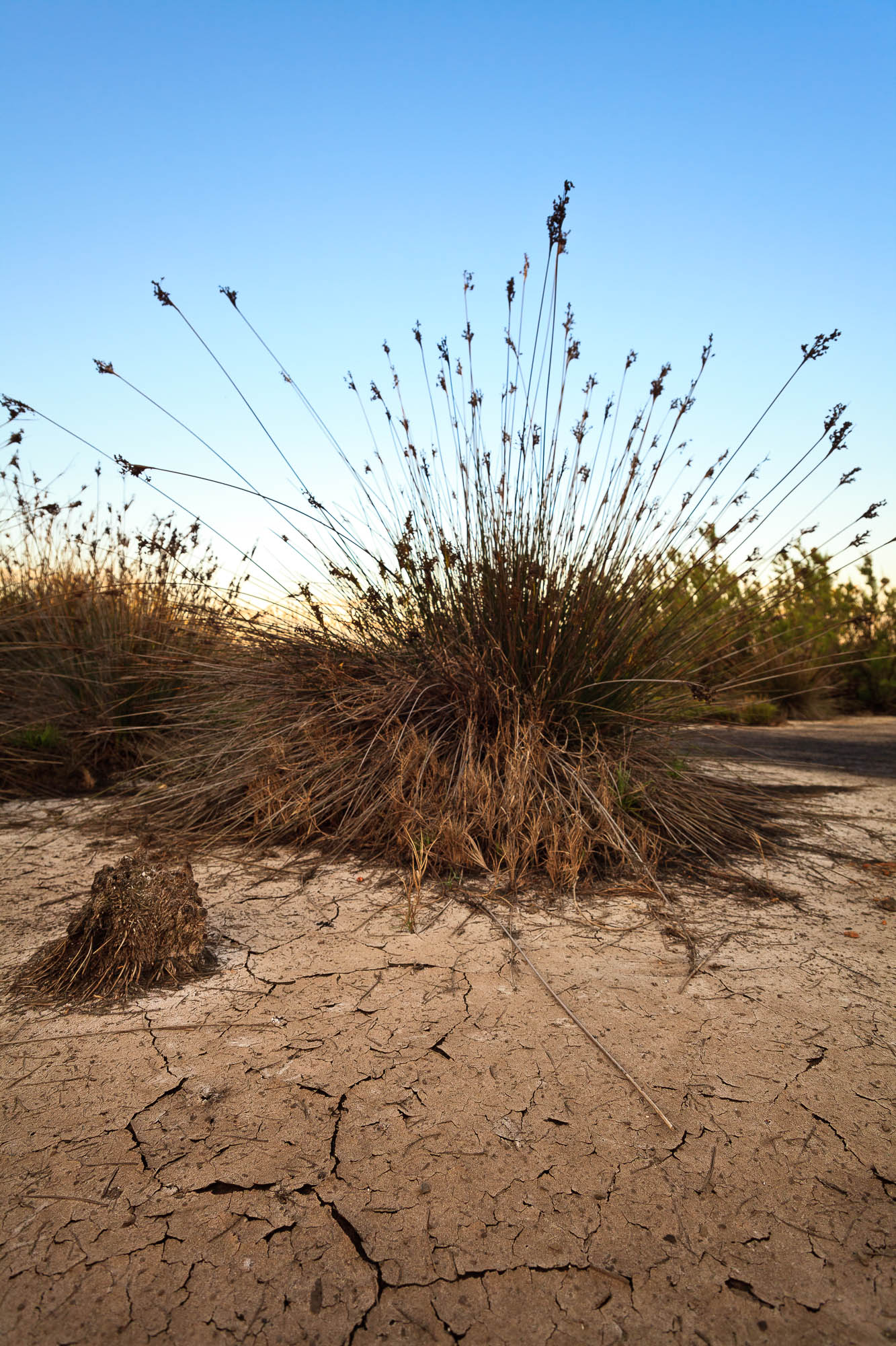 Spanien - Mallorca / Spain - Mallorca