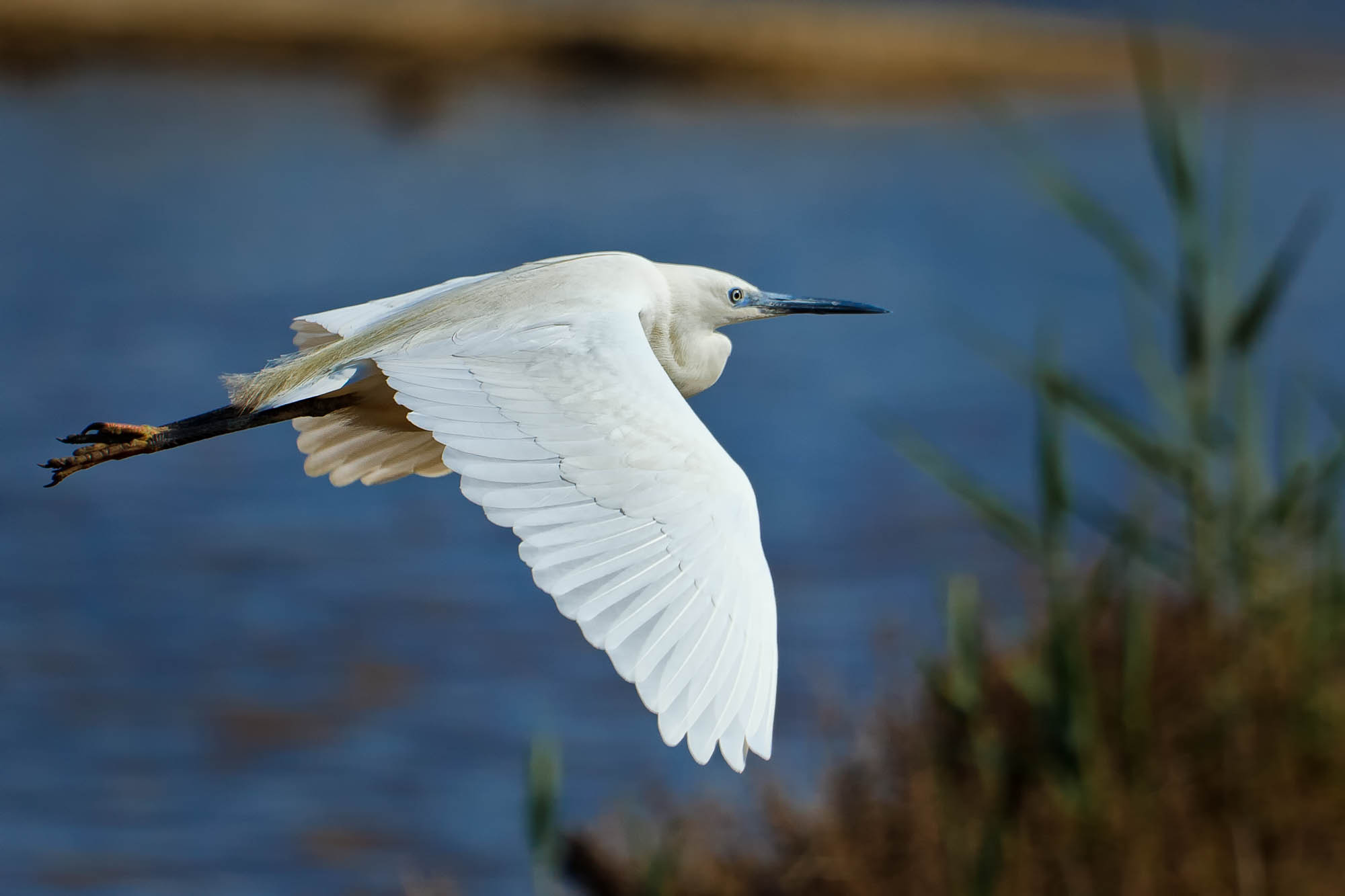 Spanien - Mallorca / Spain - Mallorca
