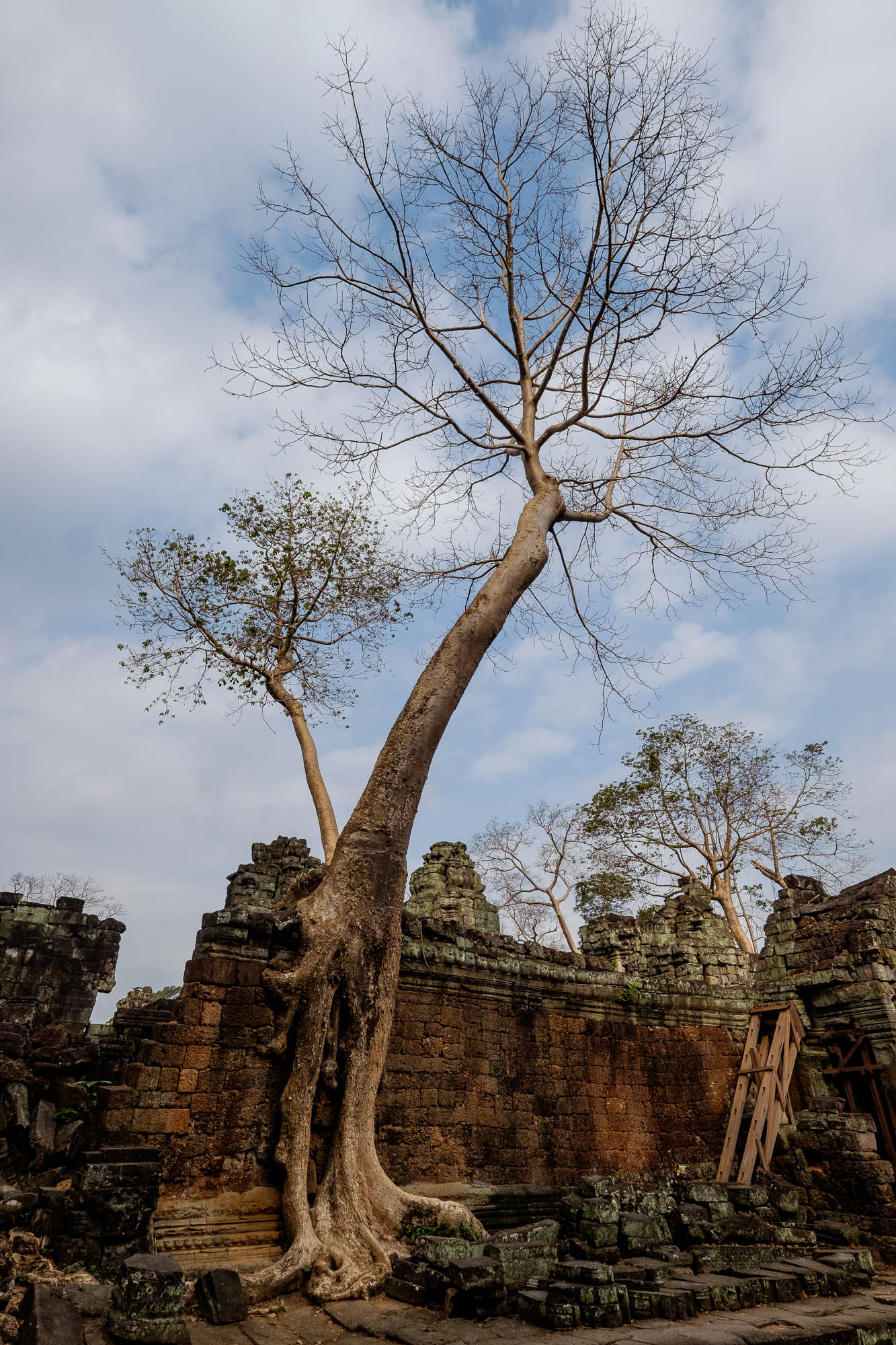 Cambodia 95