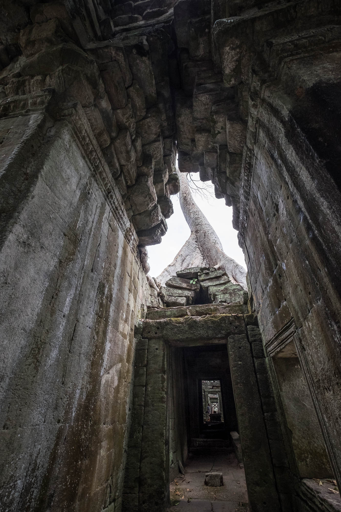 Cambodia 96