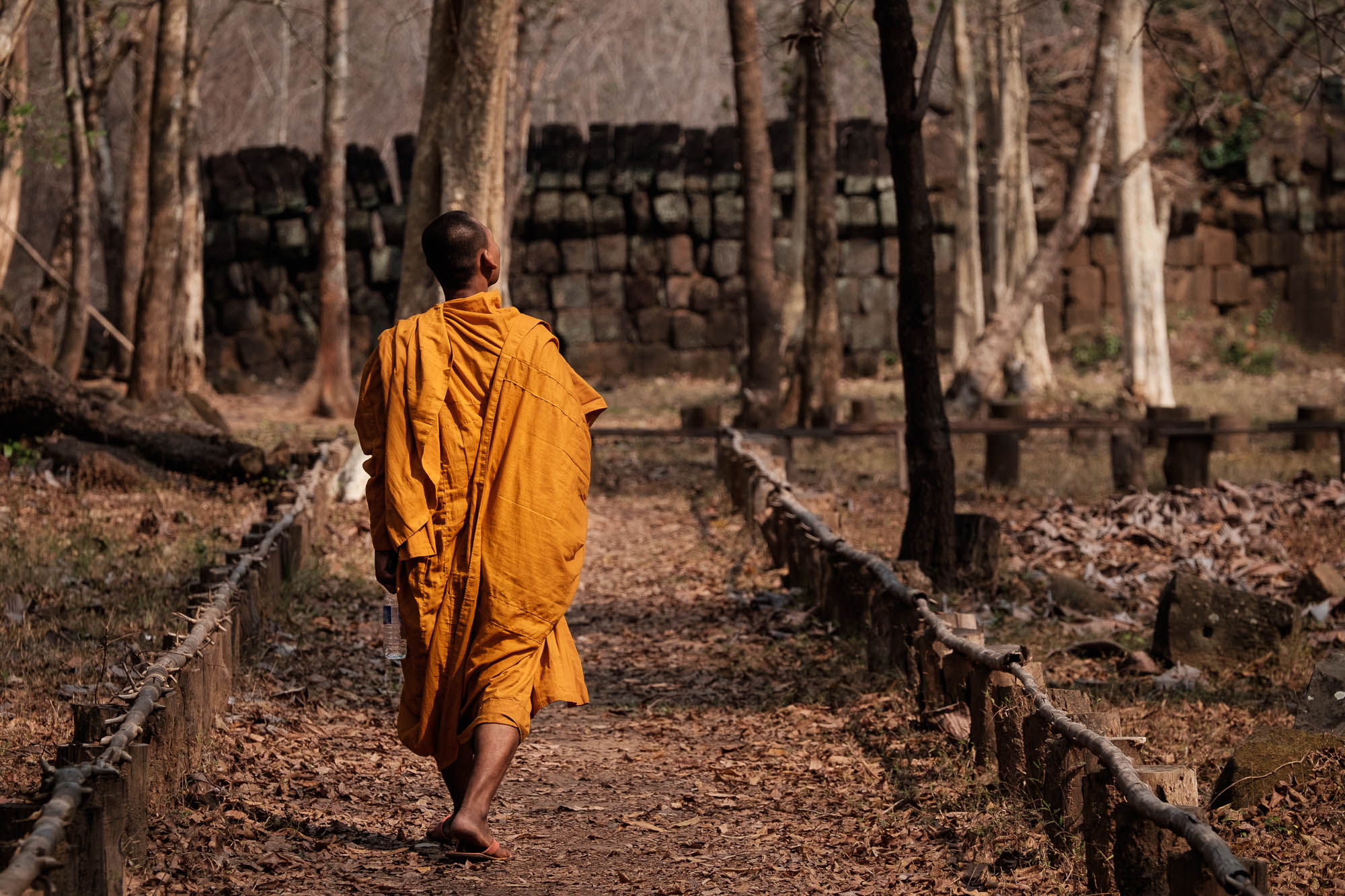 Monk walking a path - Cambodia